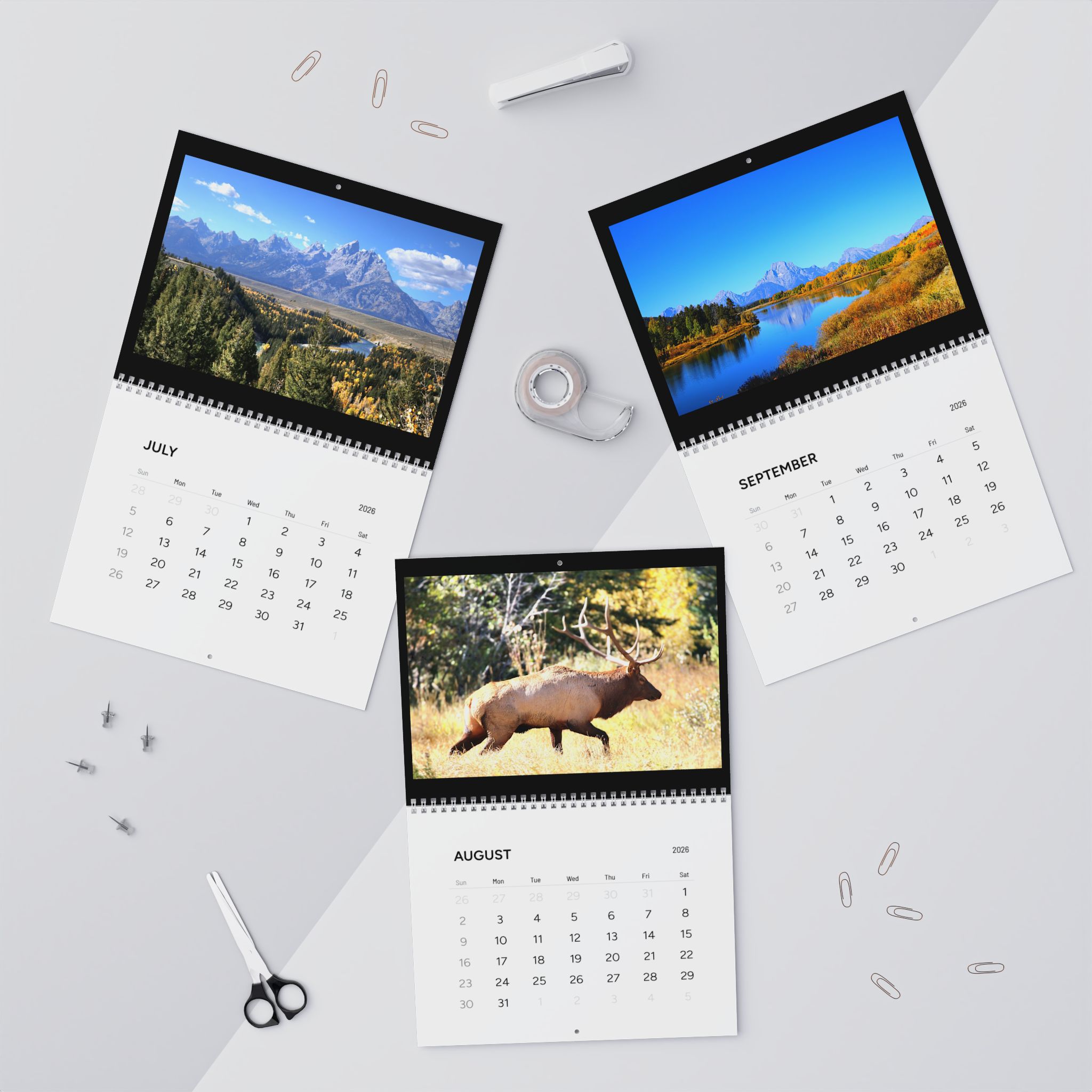 Wildlife &amp; Landscape Wall Calendars (2026) Photography by Jessica Campbell product thumbnail image