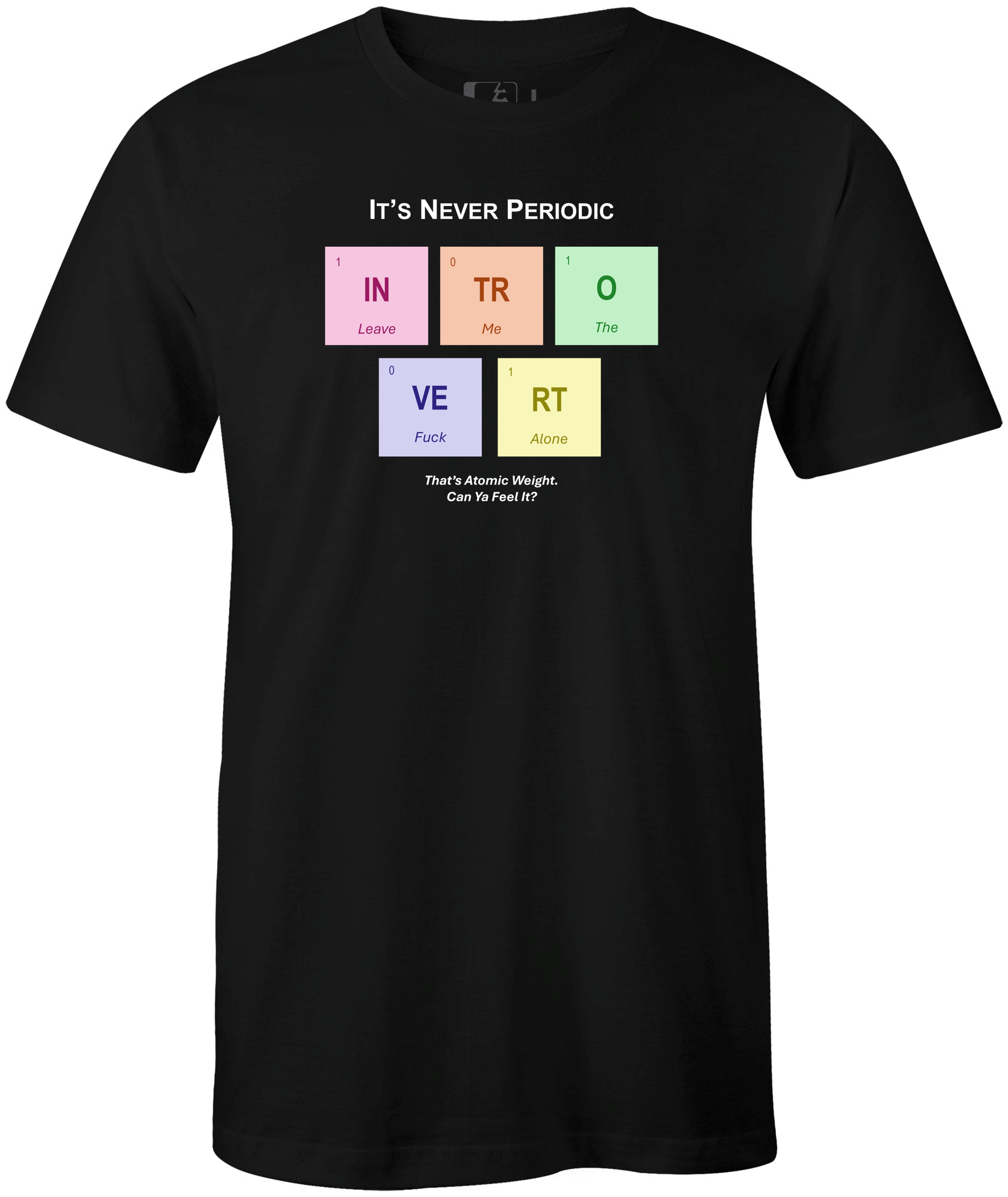 Introvert-Theme Unisex Garment-Dyed T-Shirt | Perfect for Extroverts &amp; Introverts, Casual Wear, Gift Idea, Funny Shirt, Social Anxiety product thumbnail image