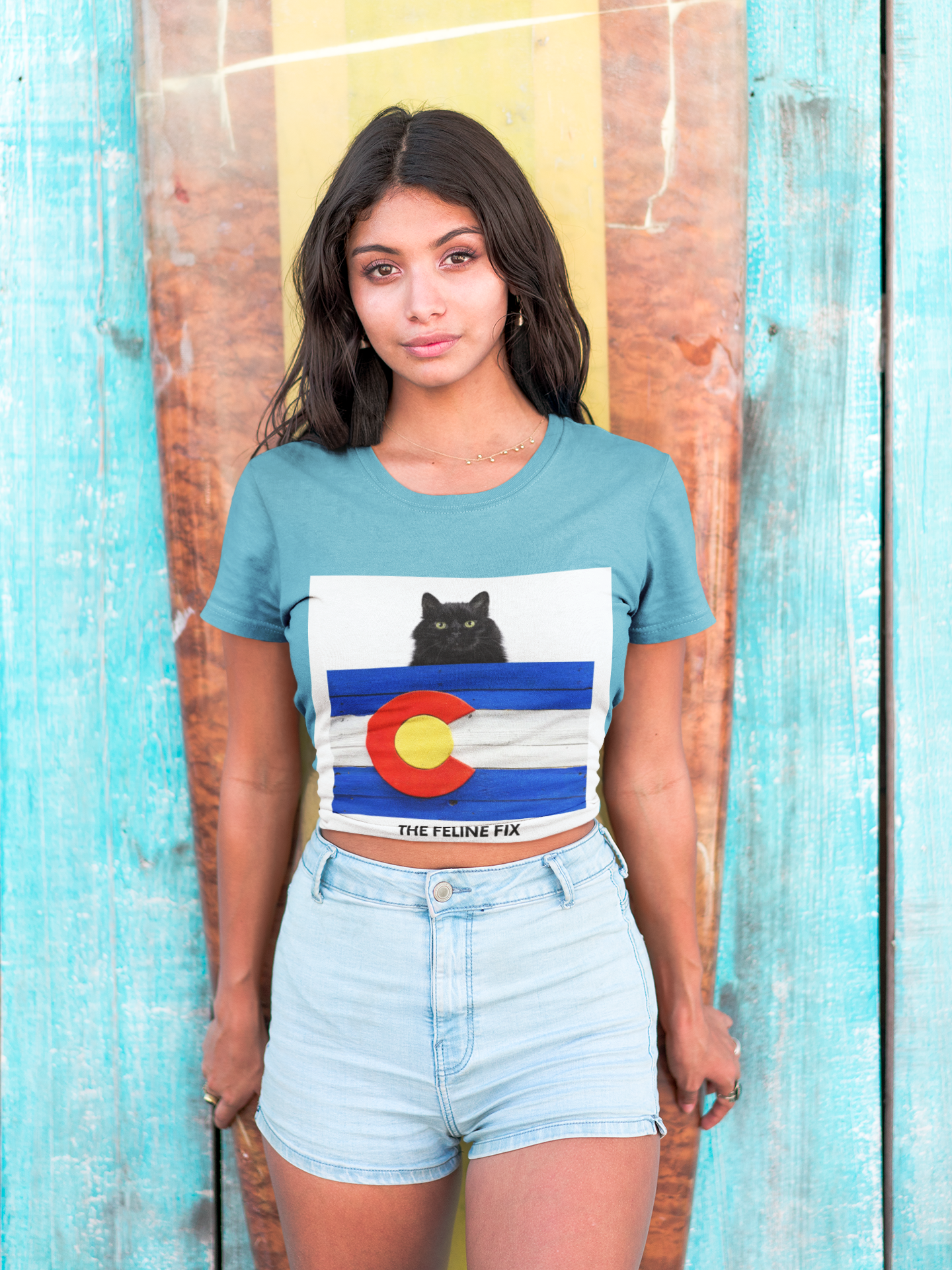 Colorado Cat Lover Tee product thumbnail image