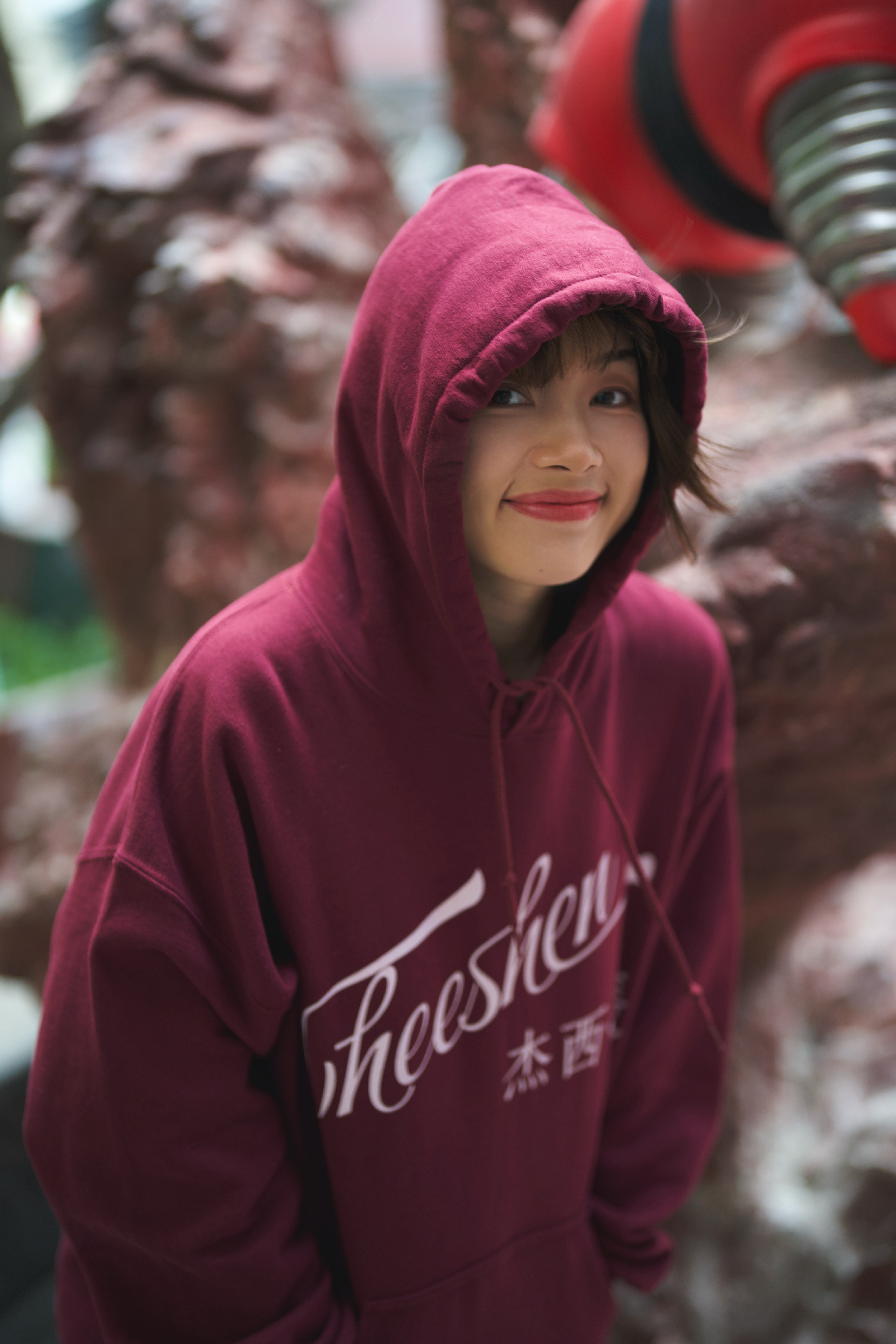 Cheeshen Hoodie product thumbnail image
