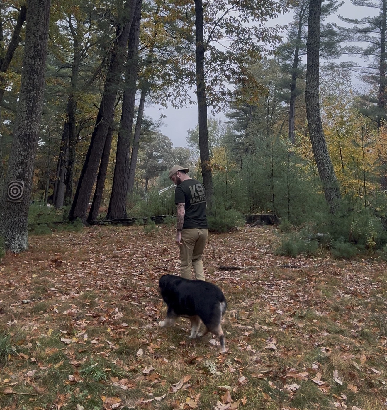 Fouled Leash - "Handlerish" product thumbnail image