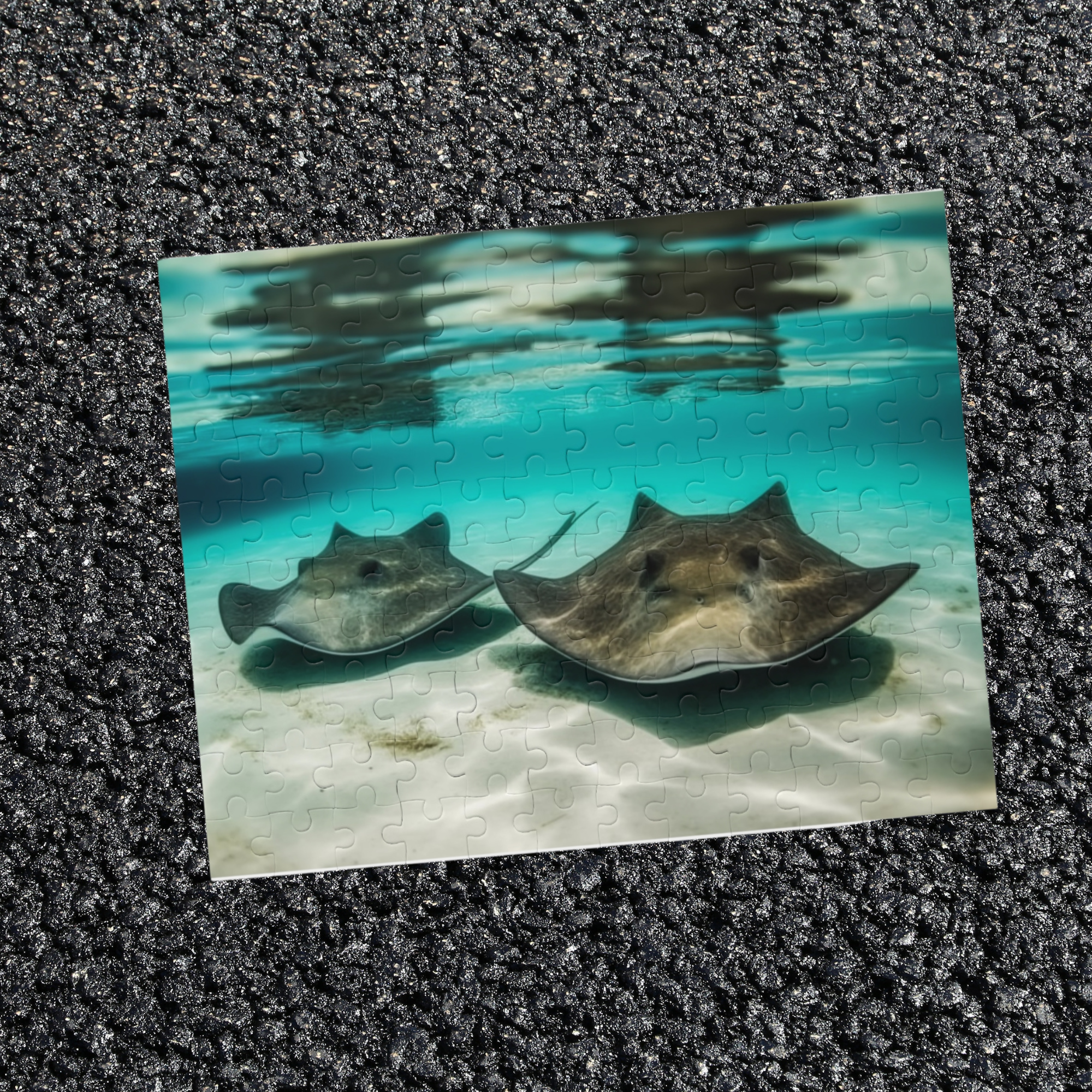 Ocean Stingray Puzzle Tropical Sea Animal Jigsaw (120, 252, 500 Pieces) Beach Vibe Gift Underwater Wildlife Puzzle for Adults and Teens product thumbnail image Ocean Stingray Puzzle Tropical Sea Animal Jigsaw (120, 252, 500 Pieces) Beach Vibe Gift Underwater Wildlife Puzzle for Adults and Teens product thumbnail image