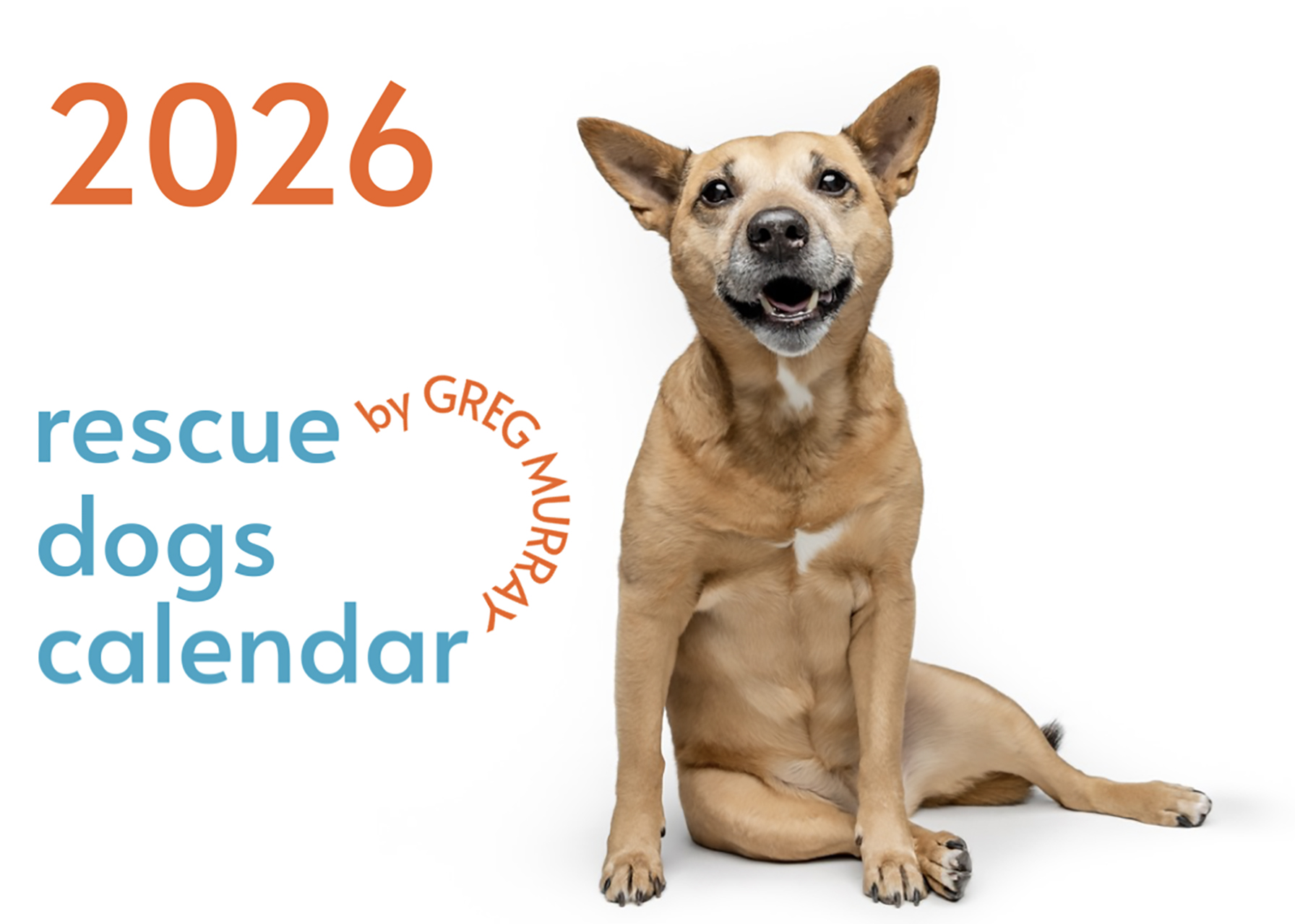 2026 Rescue Dogs Wall Calendar    2026 Rescue Dogs Wall Calendar