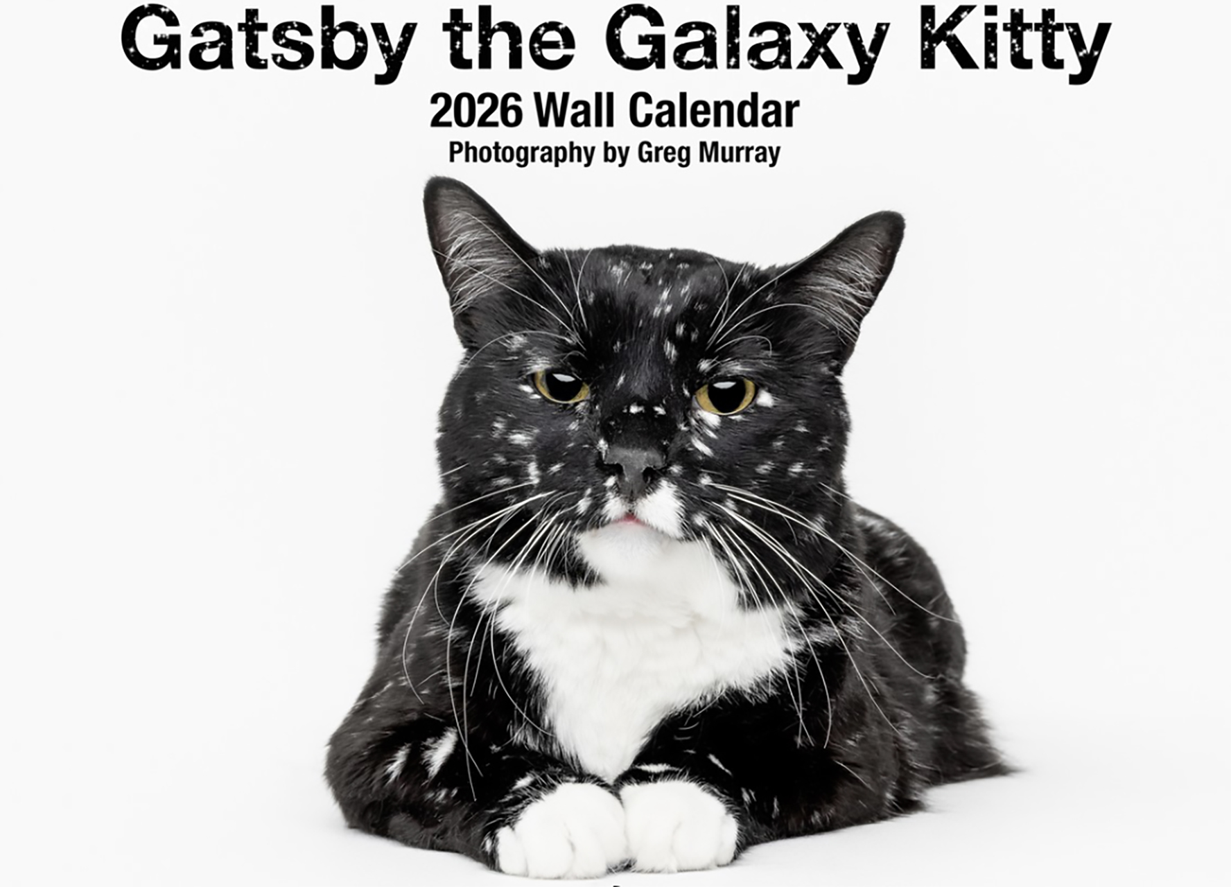 Gatsby the Rescued Galaxy Kitty 2026 Wall Calendar   Gatsby the Rescued Galaxy Kitty 2026 Wall Calendar