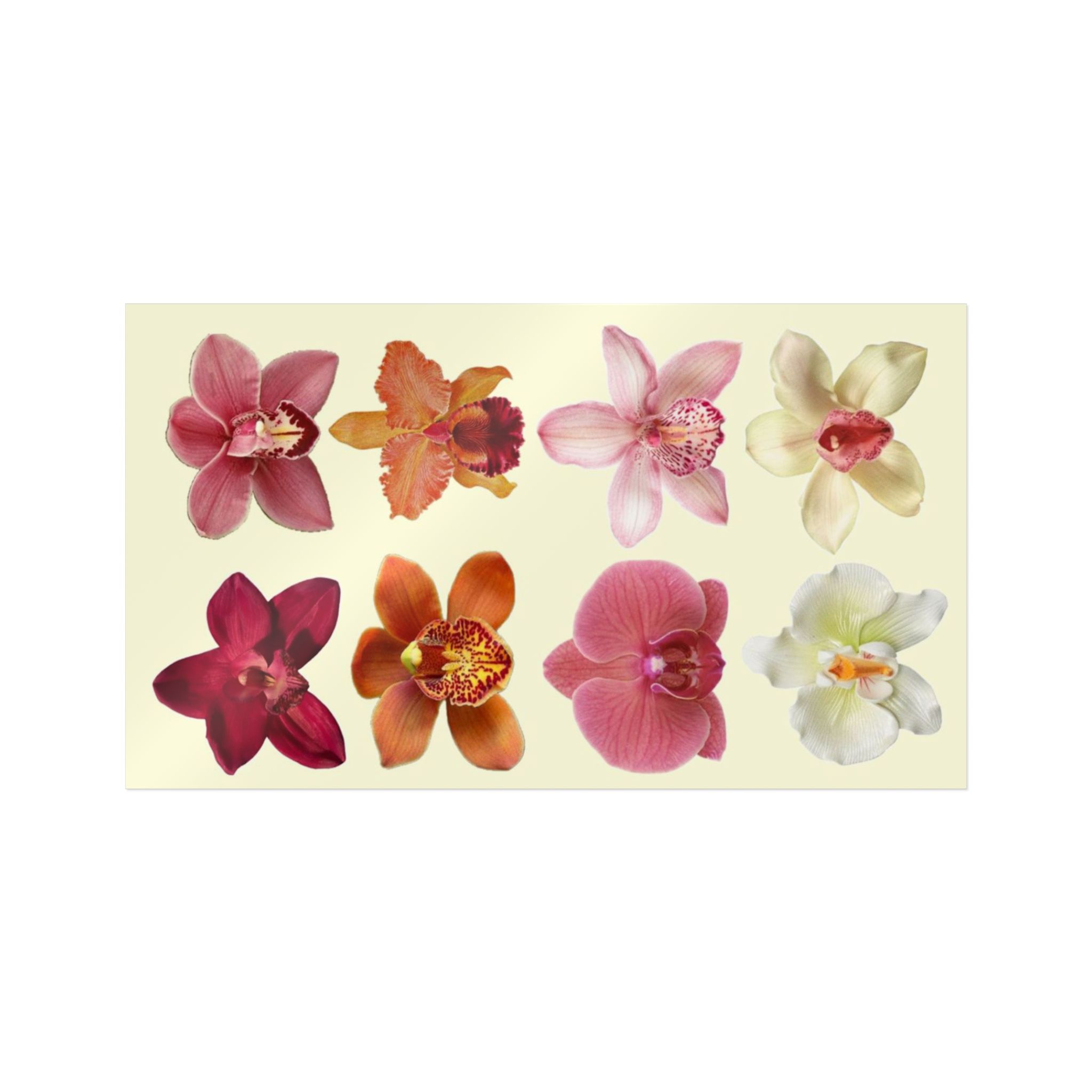 Personalized DIY Stickers, Trendy Die-Cut Stickers, Creative Journaling, Phone, Laptop, Notebook Stickers, Water Bottles, Party Favor, Wall Decor, Custom Decals ideas product thumbnail image Personalized DIY Stickers, Trendy Die-Cut Stickers, Creative Journaling, Phone, Laptop, Notebook Stickers, Water Bottles, Party Favor, Wall Decor, Custom Decals ideas product thumbnail image