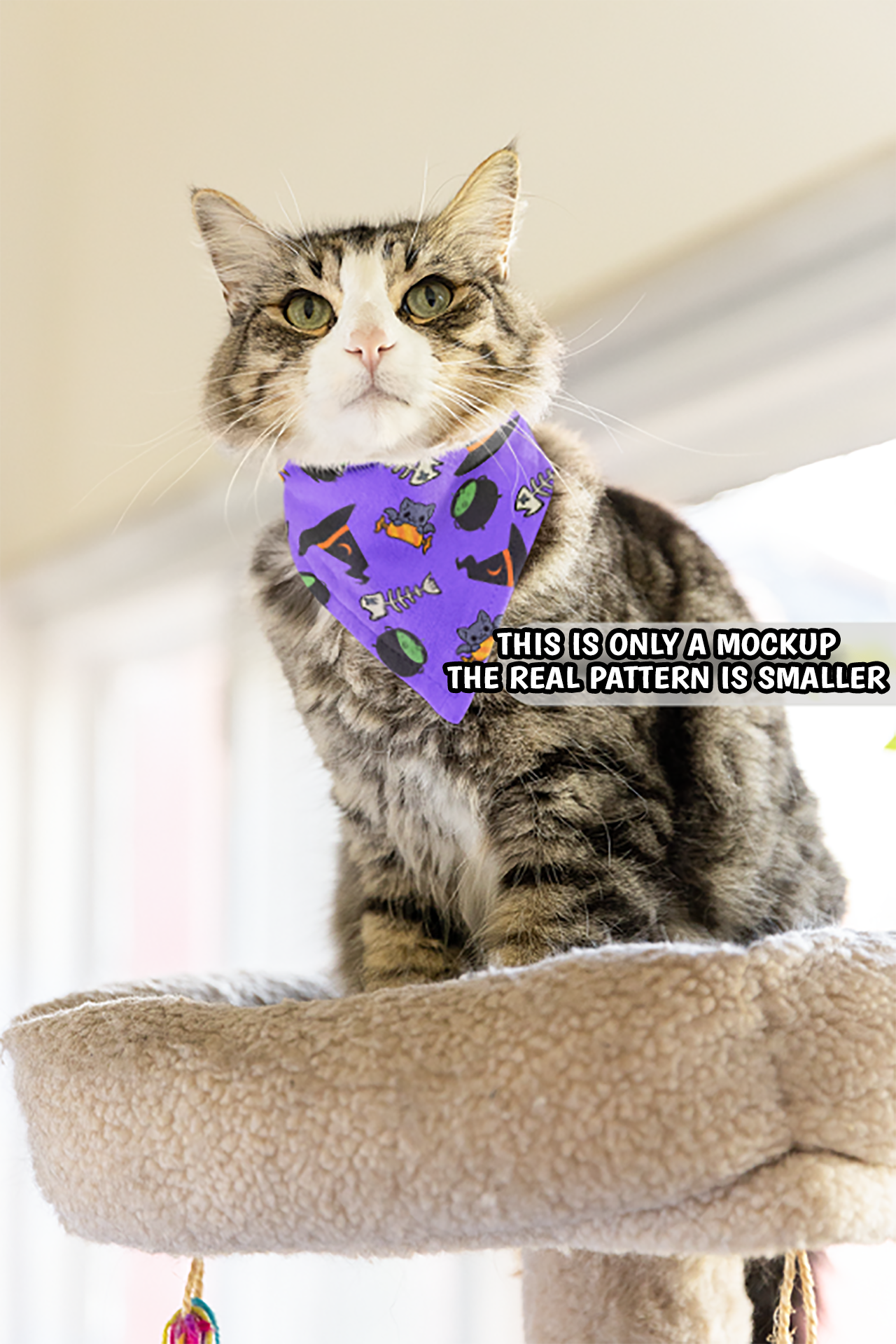 Cat Bandana | Pet Bandana Collar