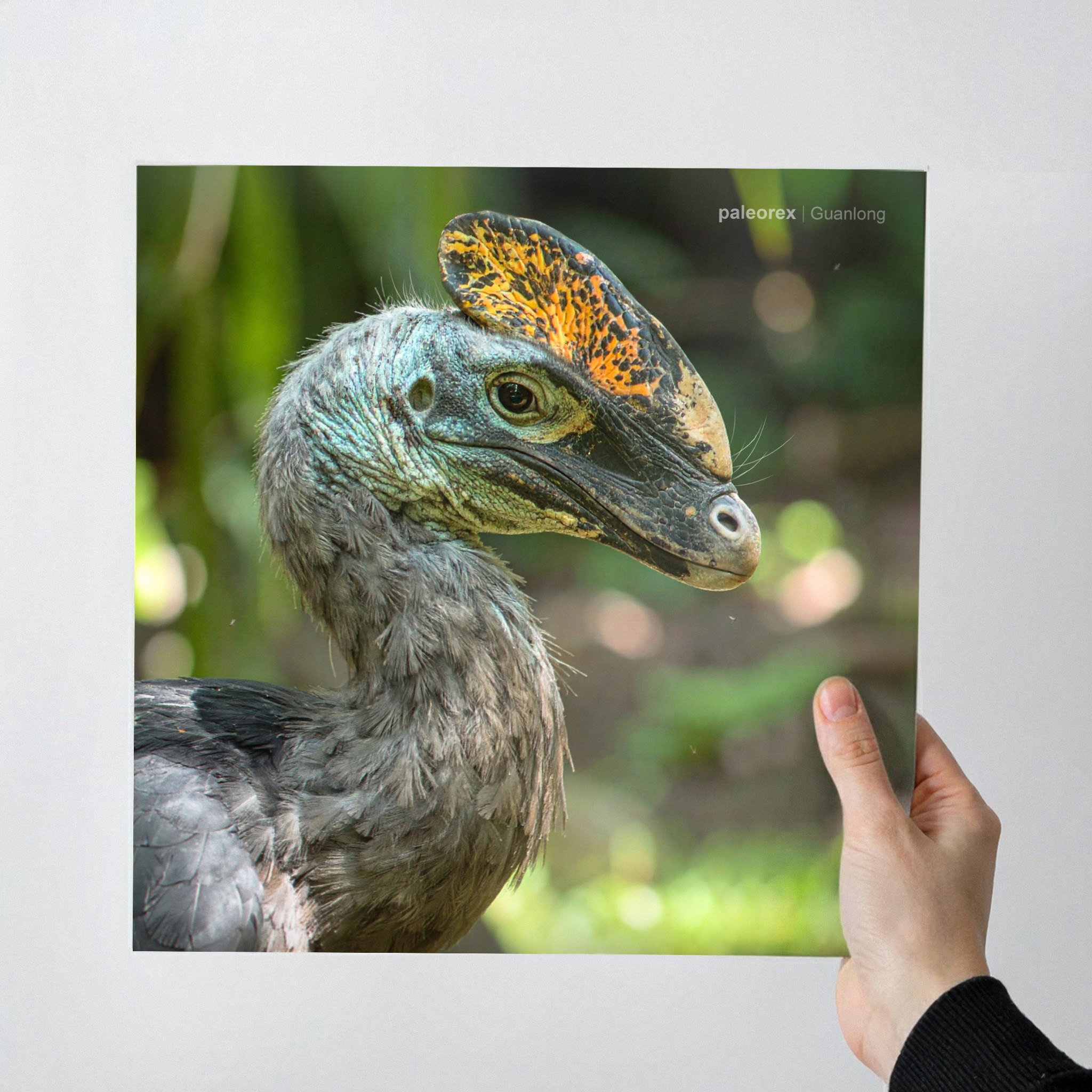 Guanlong - Print product thumbnail image Guanlong - Print product thumbnail image