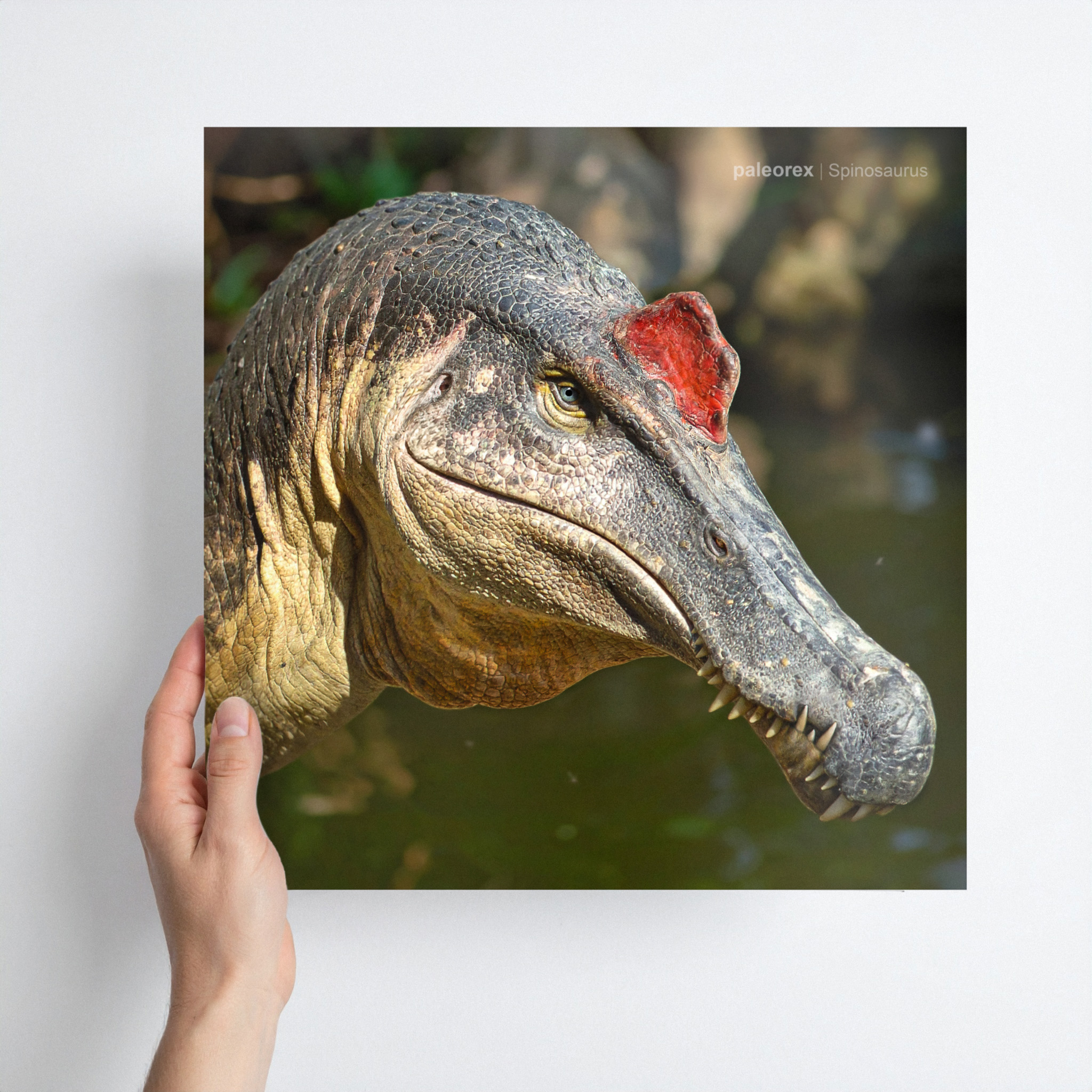 Spinosaurus - Print product thumbnail image