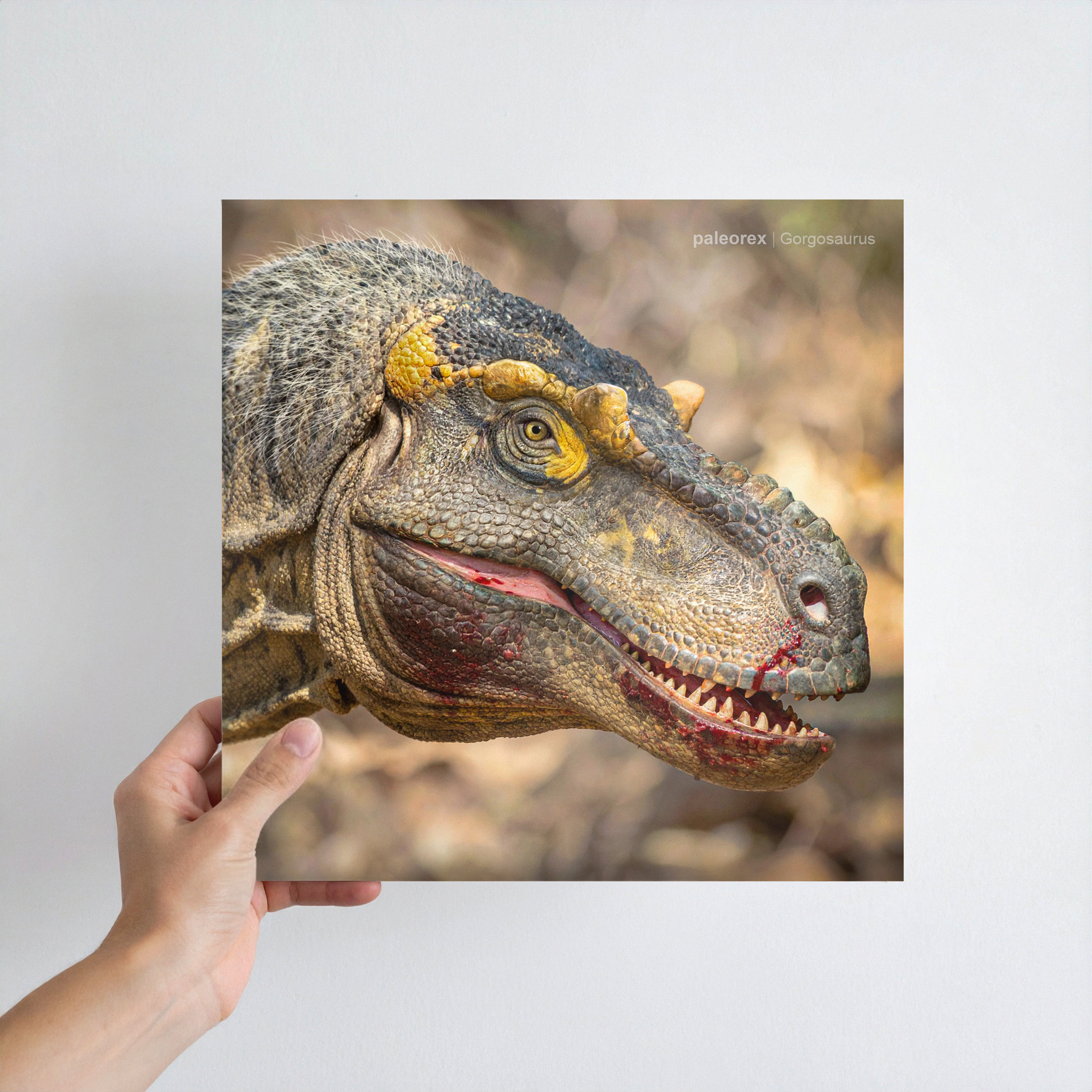 Gorgosaurus - Print product thumbnail image Gorgosaurus - Print product thumbnail image