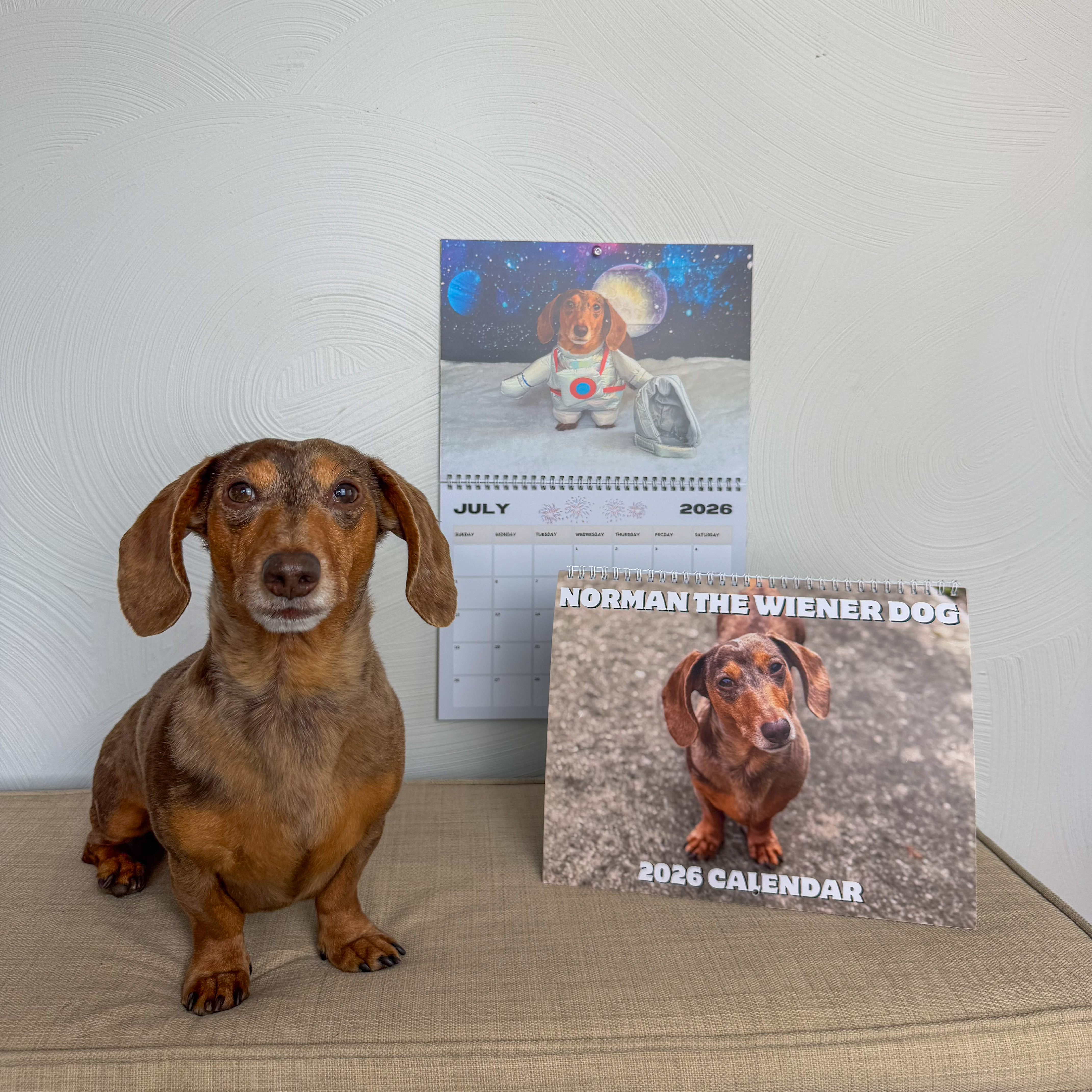 Norman The Wiener Dog 2026 Wall Calendar product thumbnail image