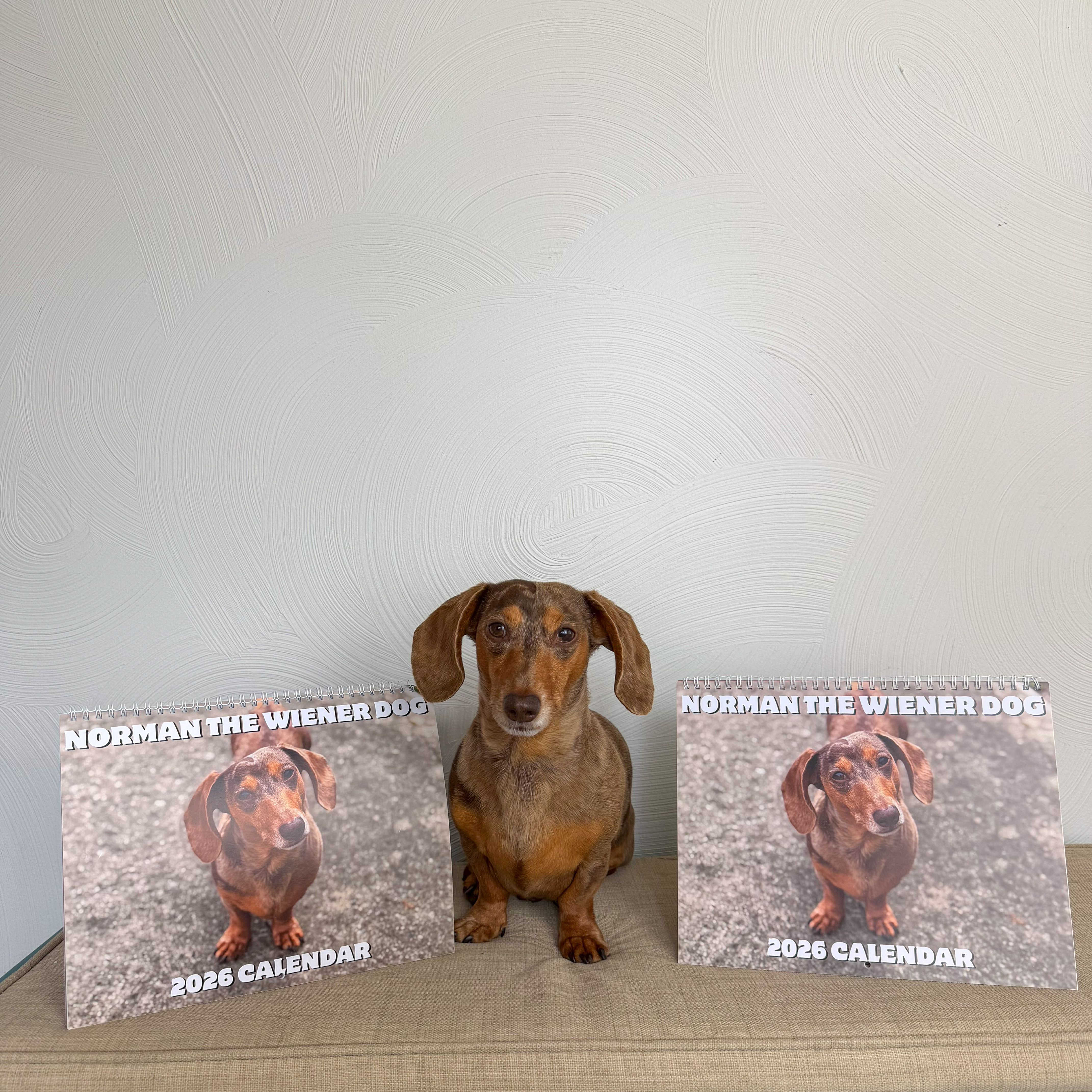 Norman The Wiener Dog 2026 Wall Calendar product thumbnail image Norman The Wiener Dog 2026 Wall Calendar product thumbnail image