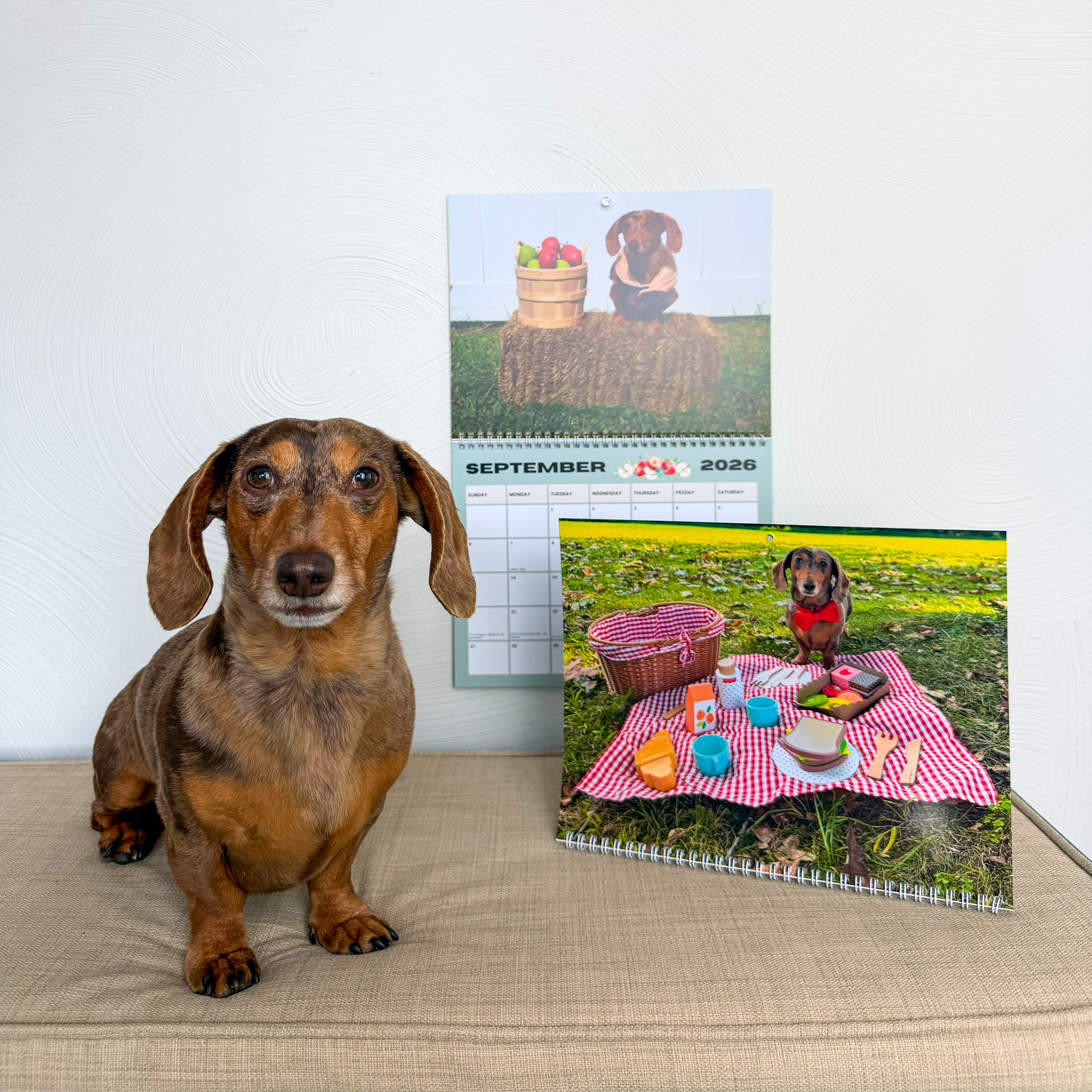 Norman The Wiener Dog 2026 Wall Calendar product thumbnail image Norman The Wiener Dog 2026 Wall Calendar product thumbnail image