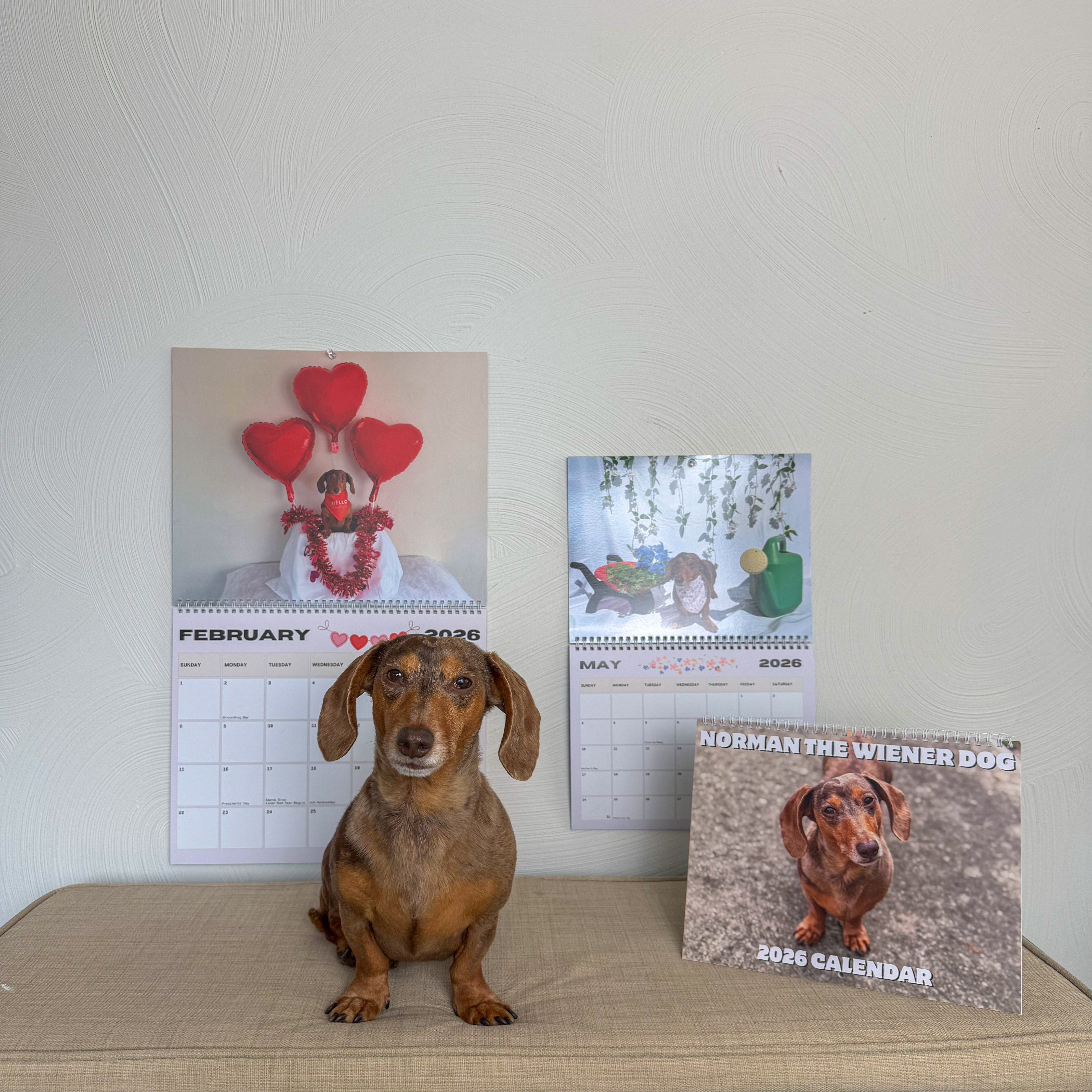 Norman The Wiener Dog 2026 Wall Calendar product thumbnail image Norman The Wiener Dog 2026 Wall Calendar product thumbnail image
