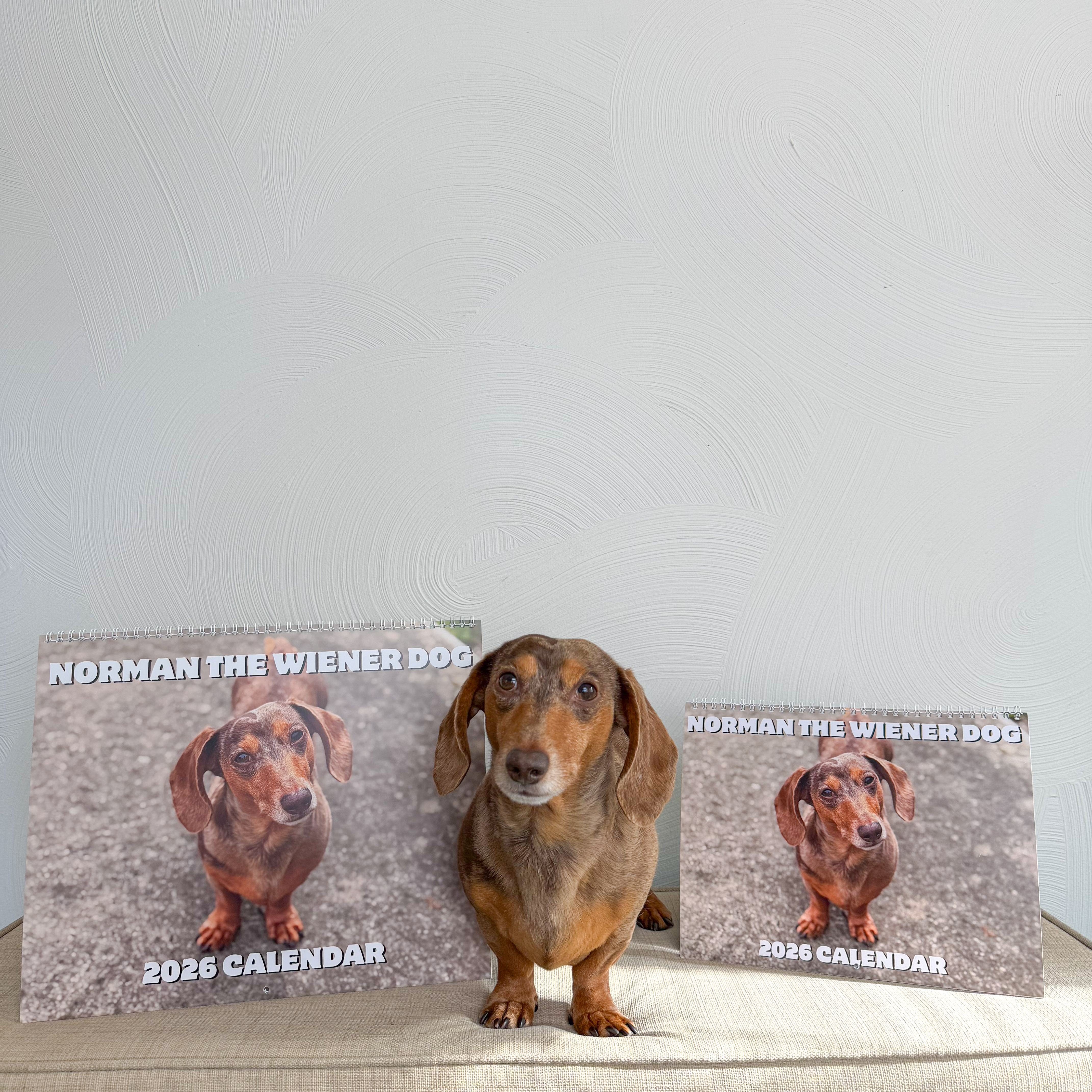 Norman The Wiener Dog 2026 Wall Calendar product thumbnail image Norman The Wiener Dog 2026 Wall Calendar product thumbnail image