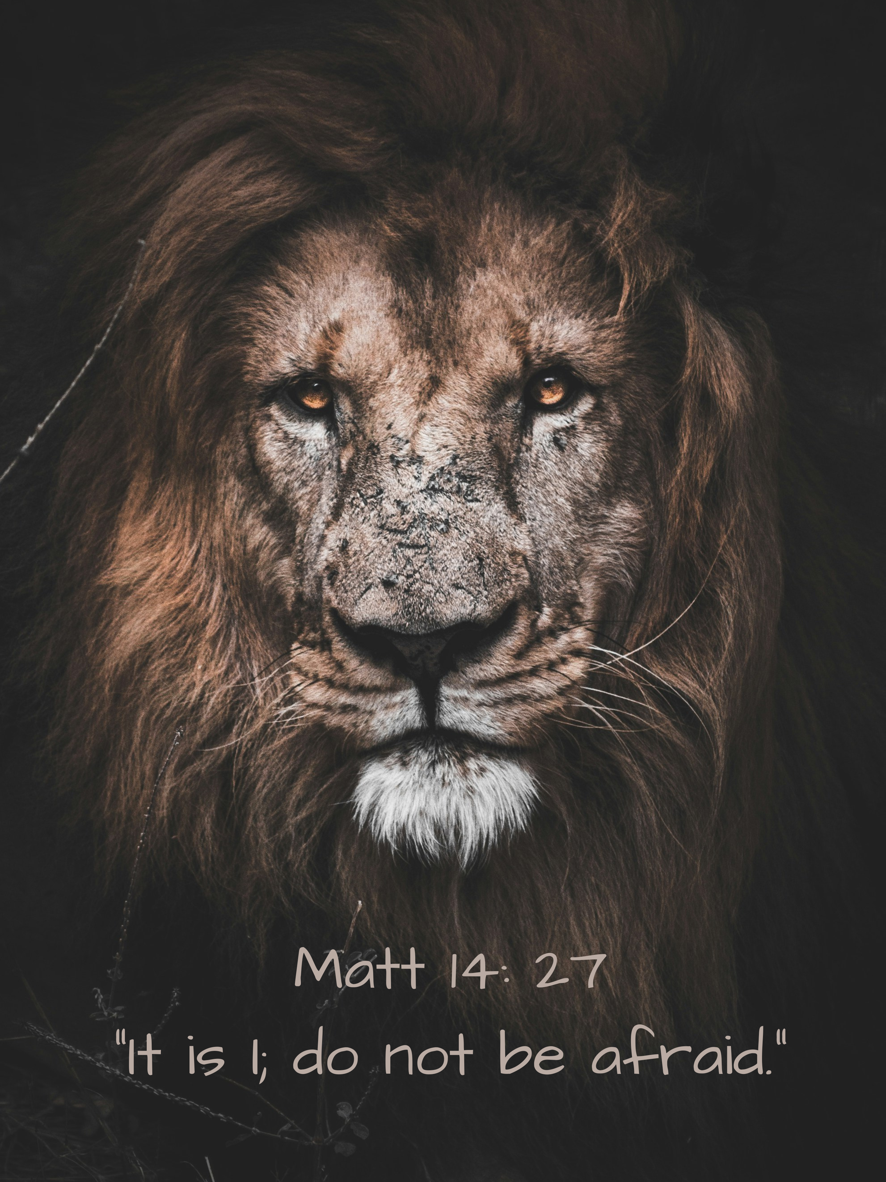 Inspirational Lightweight Velveteen Plushie Blanket featuring a Bible Verse Scriptural Matthew 14:27 product thumbnail image