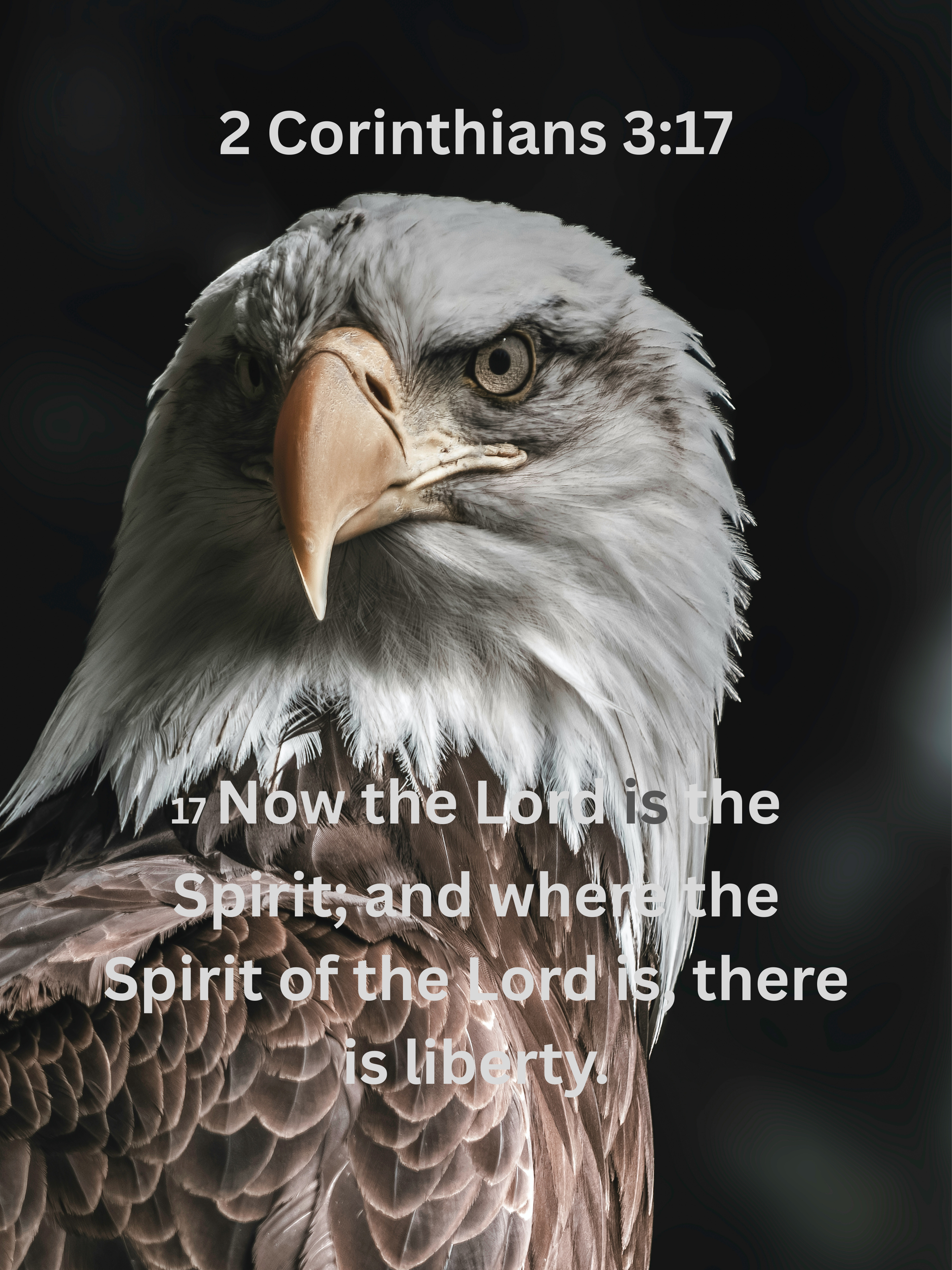 Inspirational Lightweight Velveteen Plushie Blanket featuring a Bible Verse Scriptural 2 Corinthians 3:17, Christian Lightweight Plushie Throw product thumbnail image Inspirational Lightweight Velveteen Plushie Blanket featuring a Bible Verse Scriptural 2 Corinthians 3:17, Christian Lightweight Plushie Throw product thumbnail image