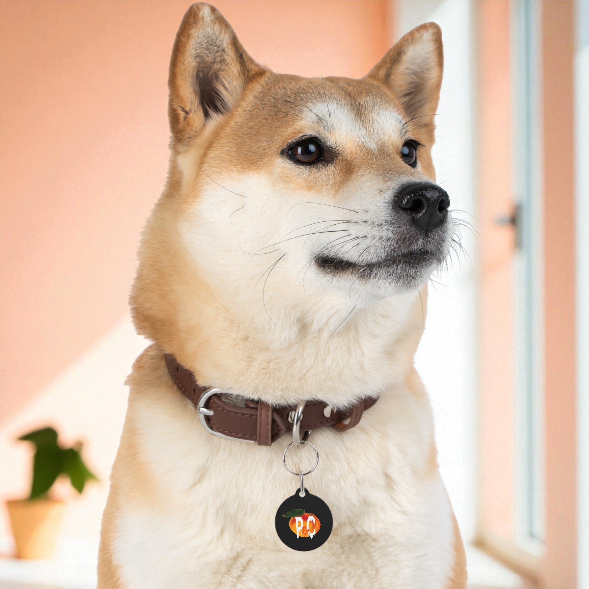 P&C Logo Pet Tag product thumbnail image P&C Logo Pet Tag product thumbnail image