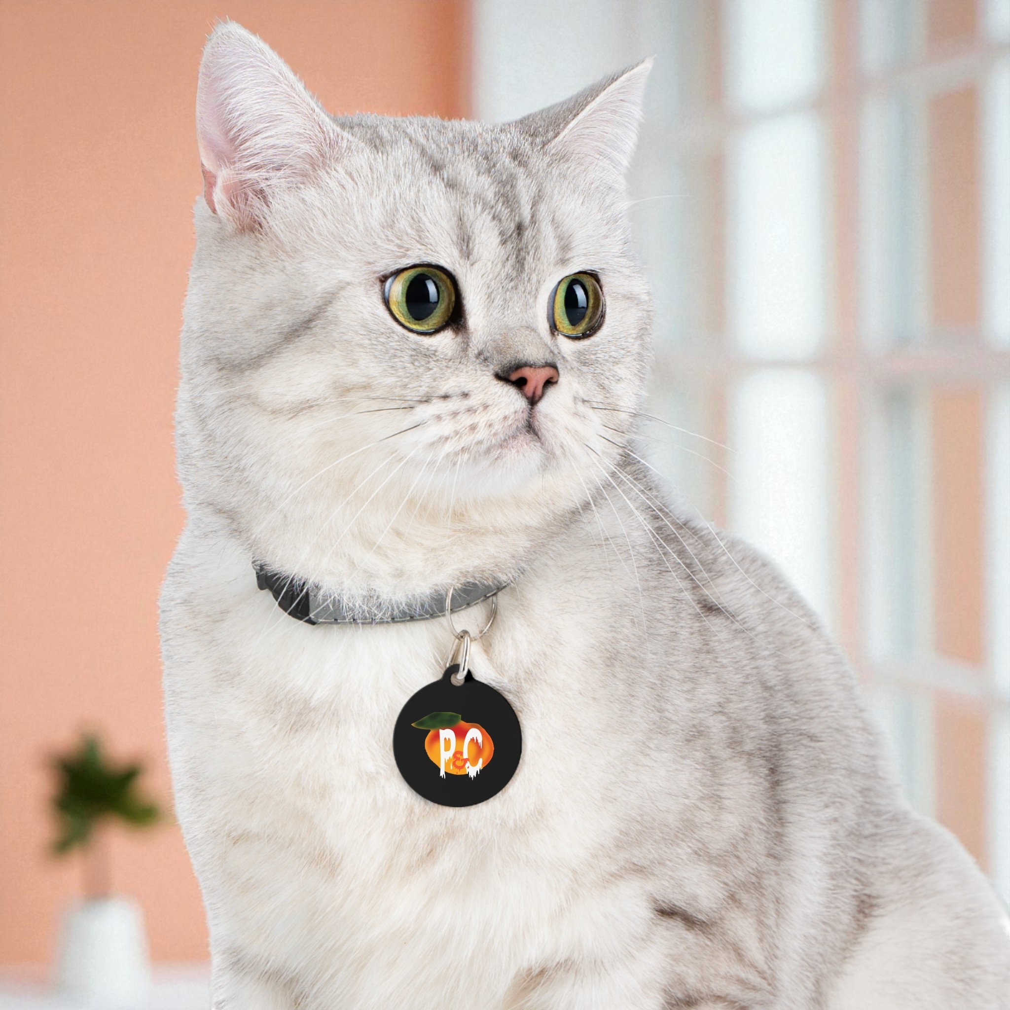 P&C Logo Pet Tag product thumbnail image P&C Logo Pet Tag product thumbnail image