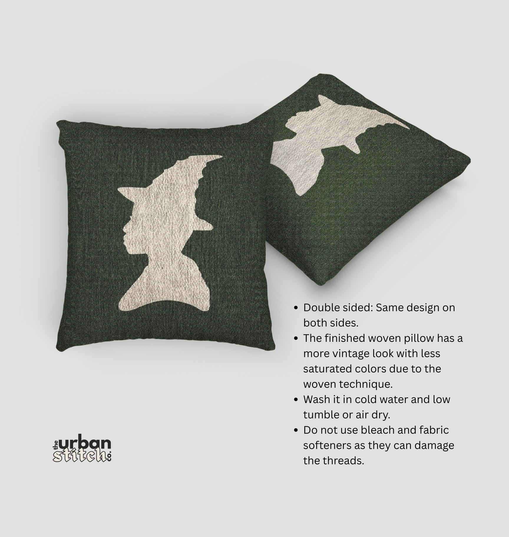 Elphaba Pillow | Wicked Inspired product thumbnail image
