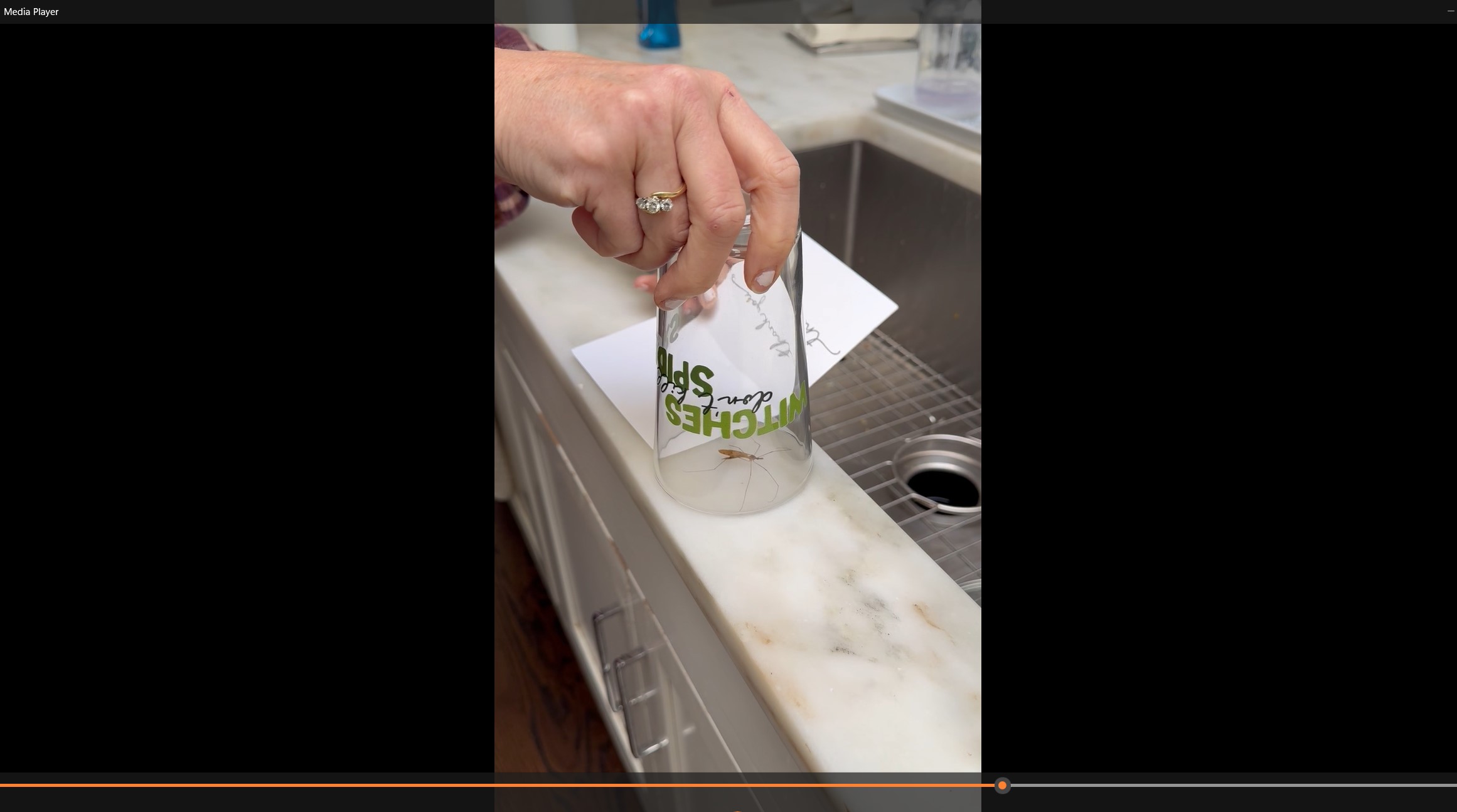 Witches Don't Kill Spiders | Glass for Catching Bugs product thumbnail image Witches Don't Kill Spiders | Glass for Catching Bugs product thumbnail image