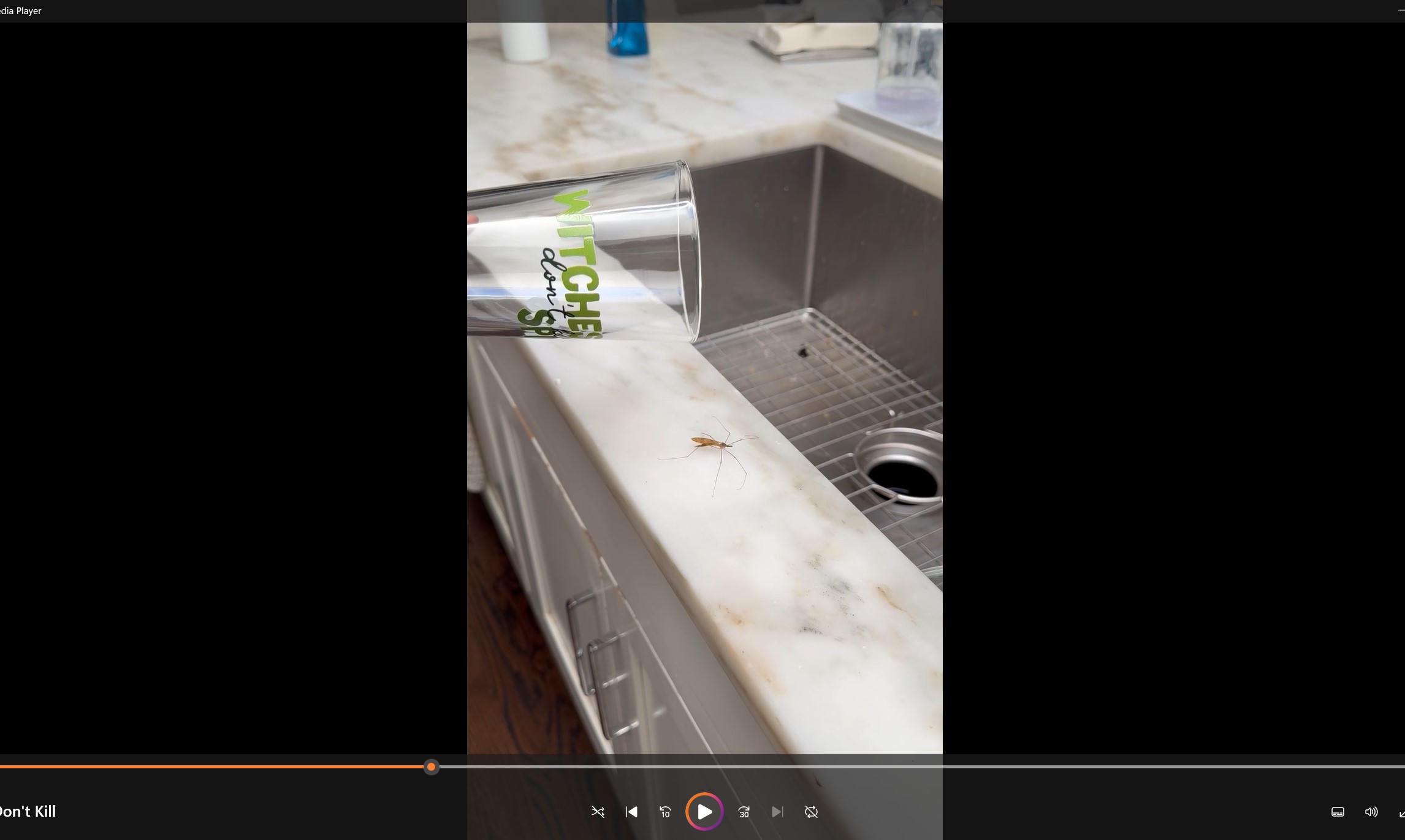 Witches Don't Kill Spiders | Glass for Catching Bugs product thumbnail image