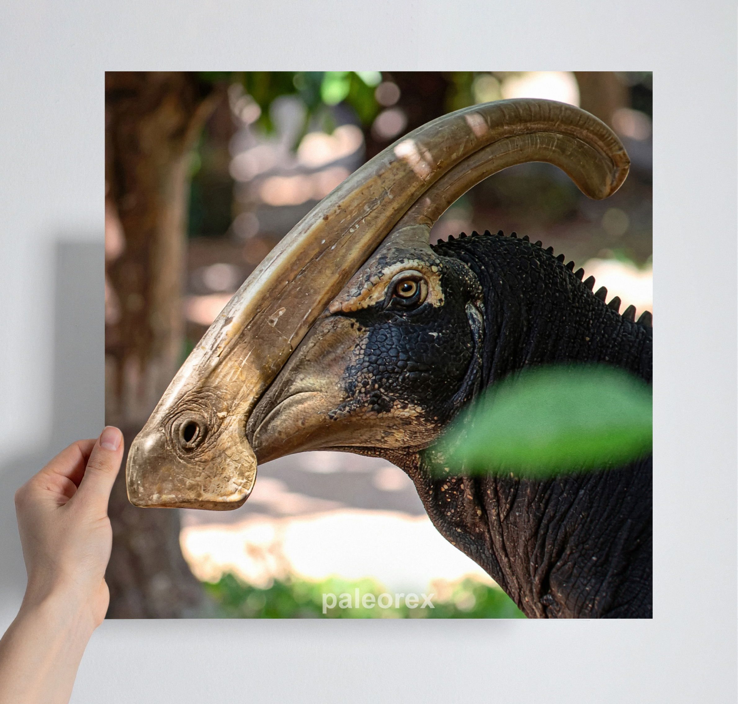 Parasaurolophus - Print product thumbnail image
