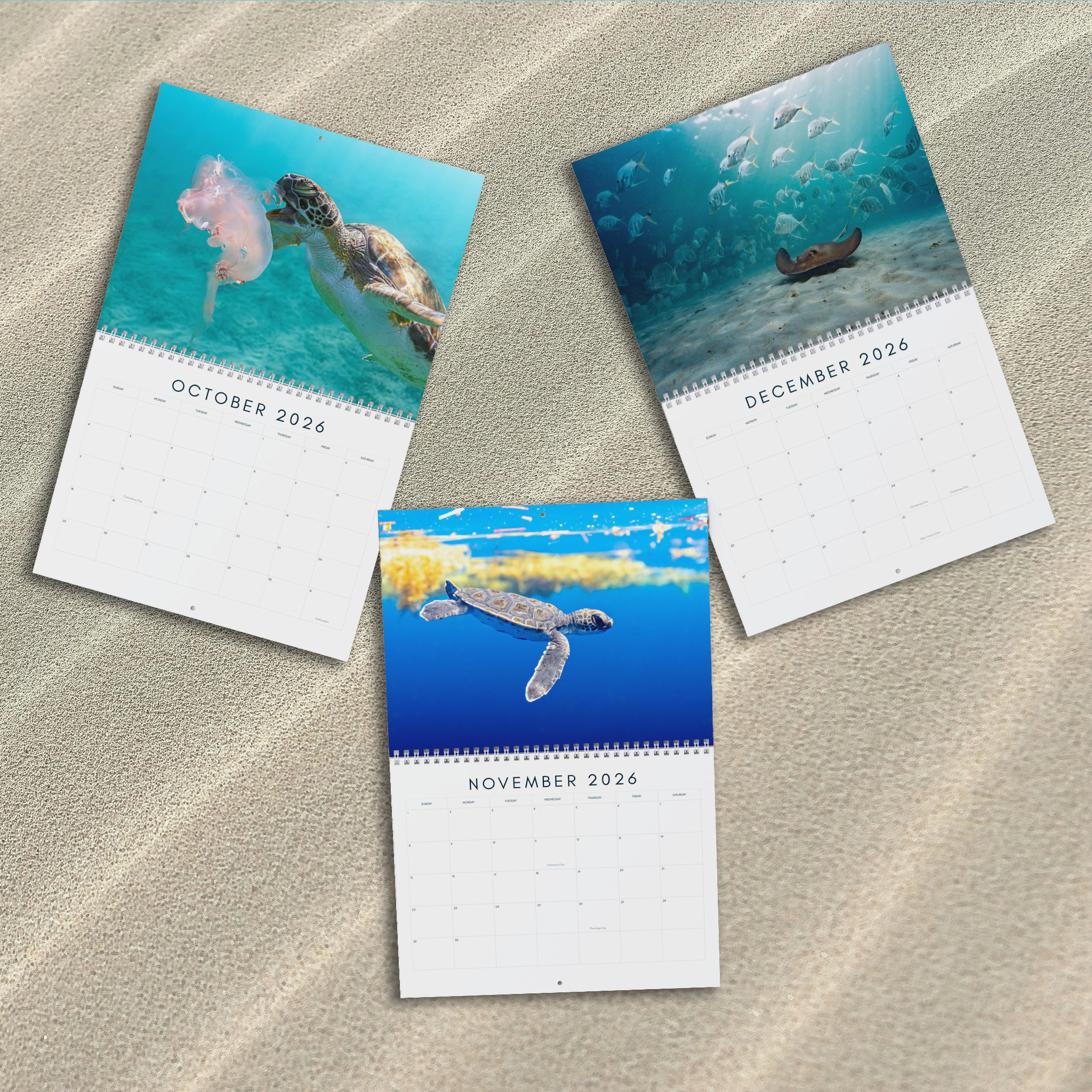 Ocean Life 2026 Calendar – Underwater Photography of Marine Life and Ocean Wildlife product thumbnail image Ocean Life 2026 Calendar – Underwater Photography of Marine Life and Ocean Wildlife product thumbnail image
