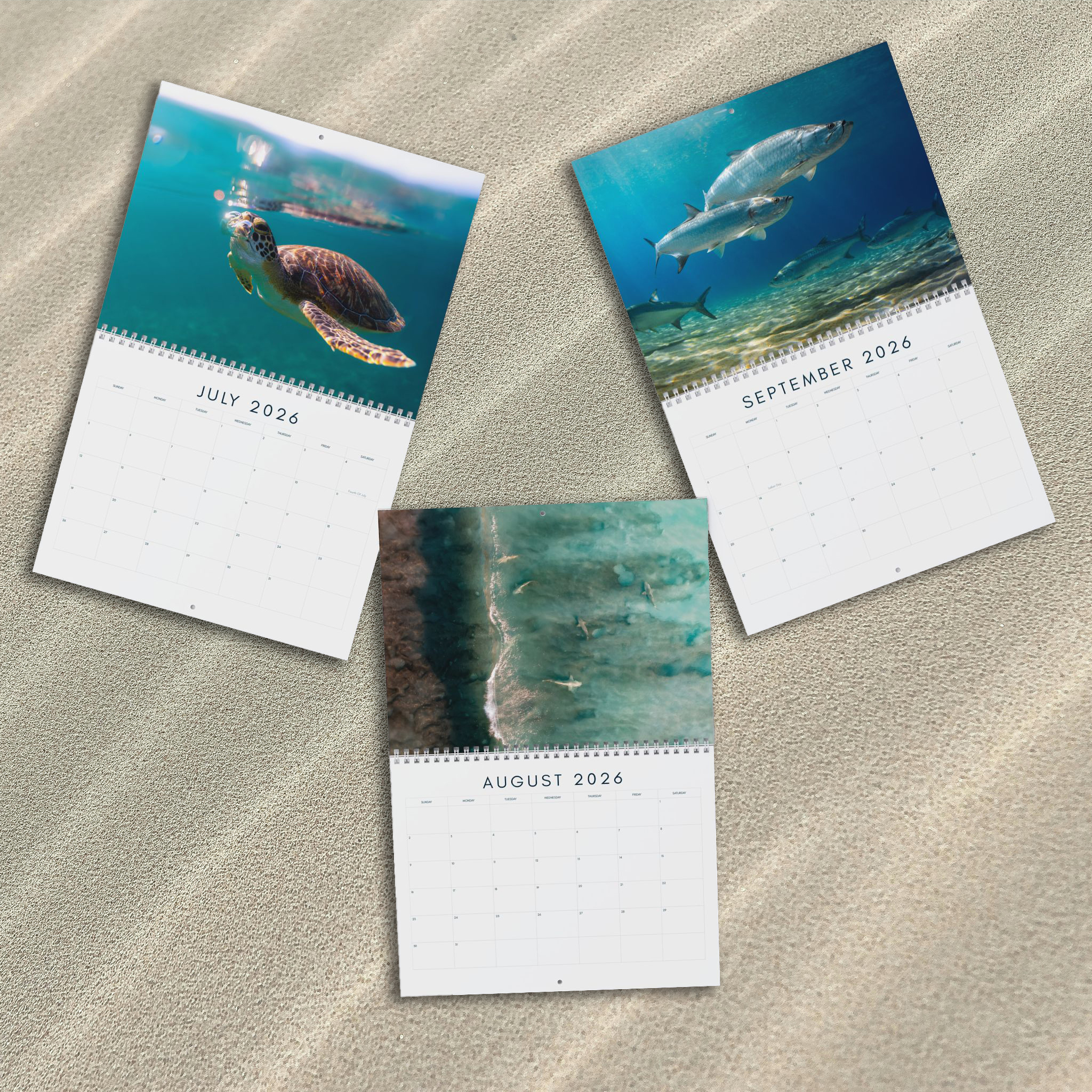 Ocean Life 2026 Calendar – Underwater Photography of Marine Life and Ocean Wildlife product thumbnail image Ocean Life 2026 Calendar – Underwater Photography of Marine Life and Ocean Wildlife product thumbnail image