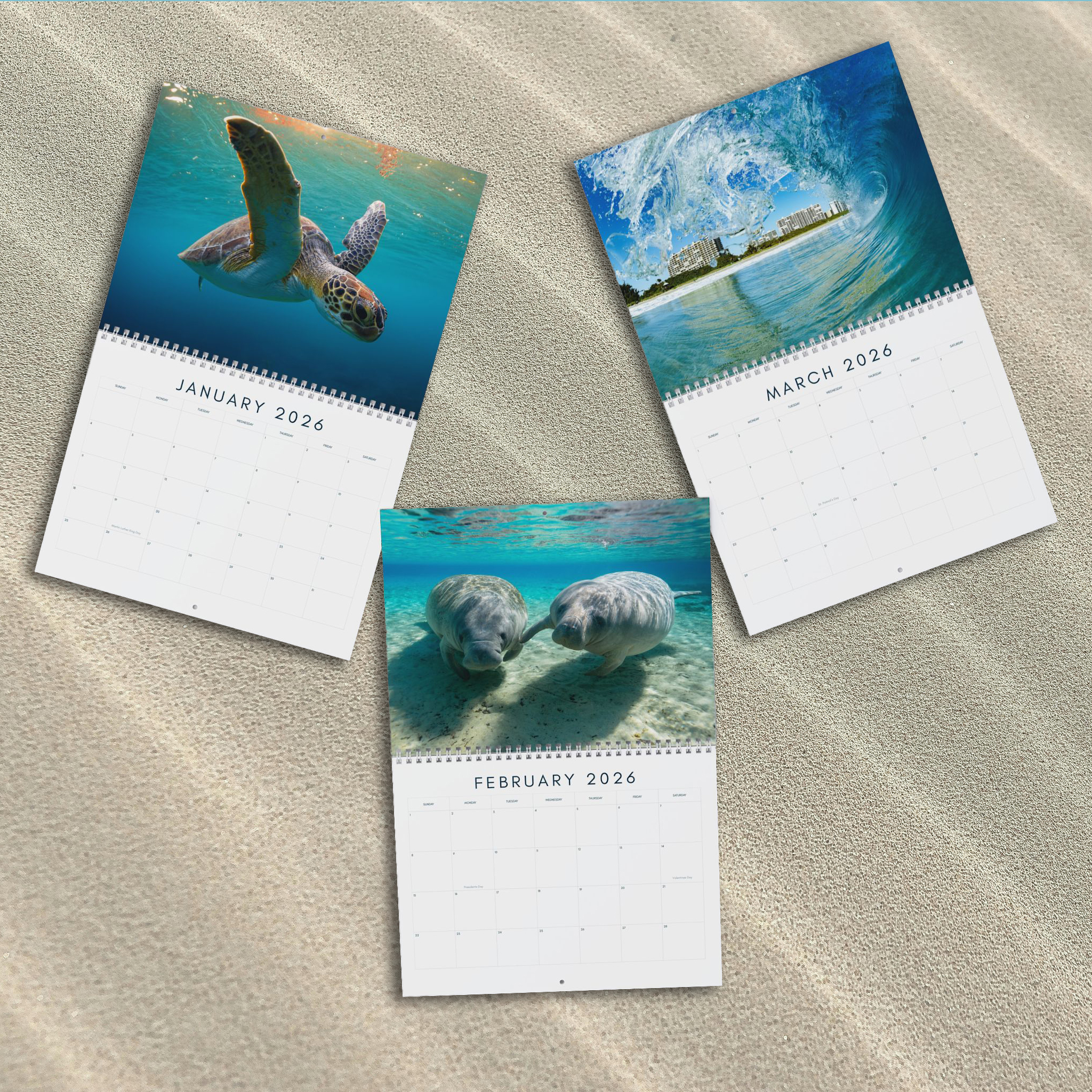 Ocean Life 2026 Calendar – Underwater Photography of Marine Life and Ocean Wildlife product thumbnail image Ocean Life 2026 Calendar – Underwater Photography of Marine Life and Ocean Wildlife product thumbnail image