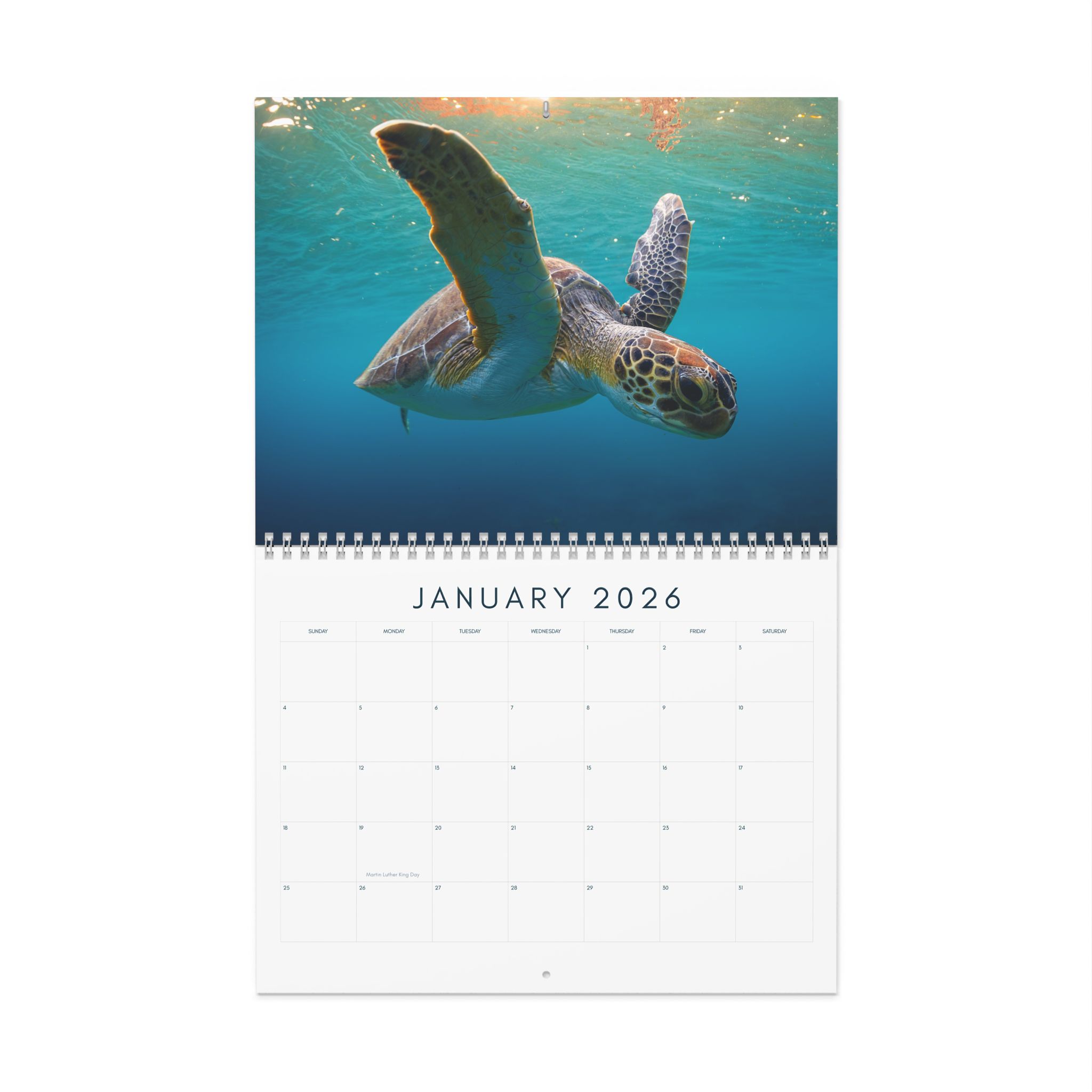 Ocean Life 2026 Calendar – Underwater Photography of Marine Life and Ocean Wildlife product thumbnail image Ocean Life 2026 Calendar – Underwater Photography of Marine Life and Ocean Wildlife product thumbnail image