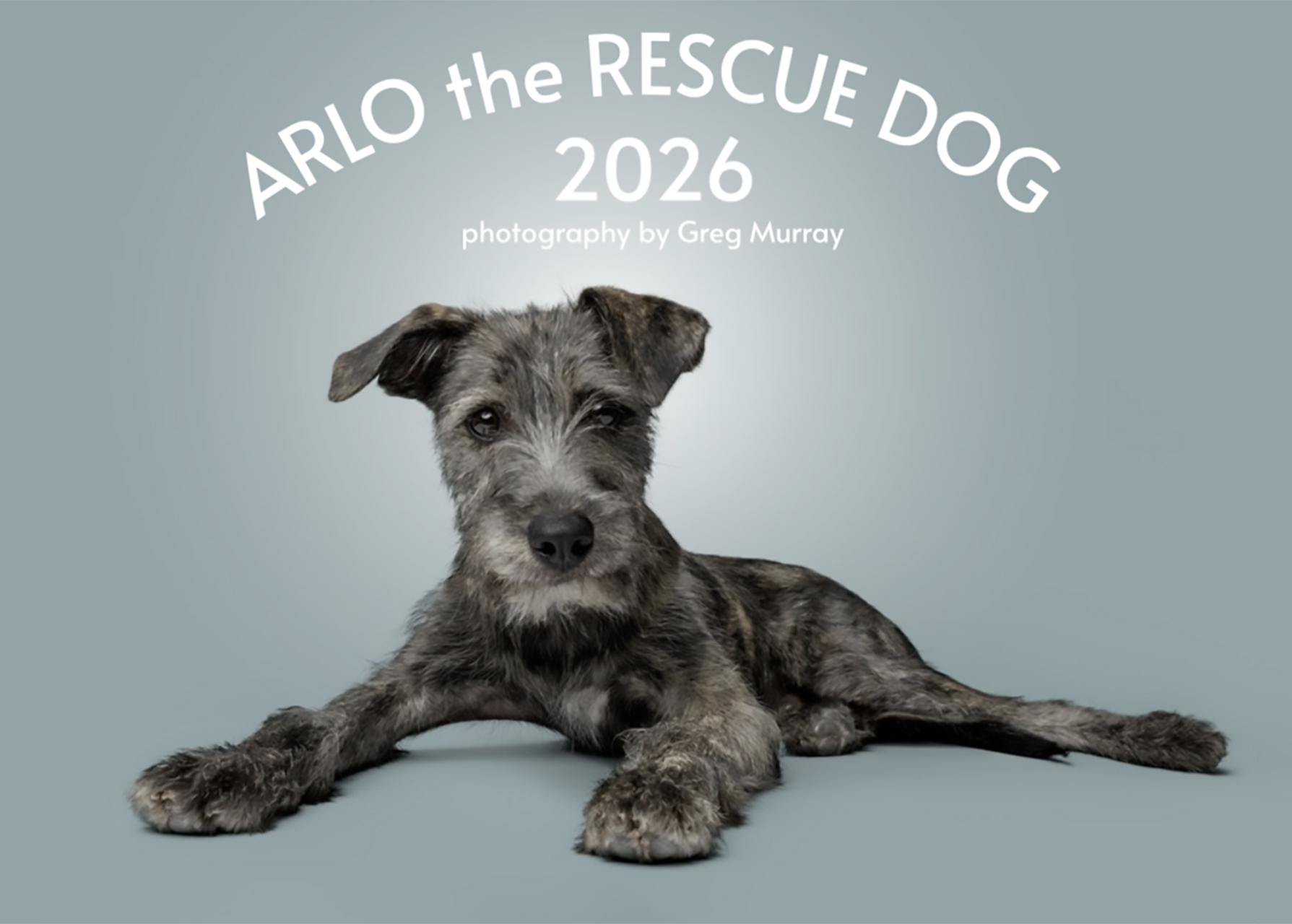Arlo the Rescue Dog 2026 Wall Calendar