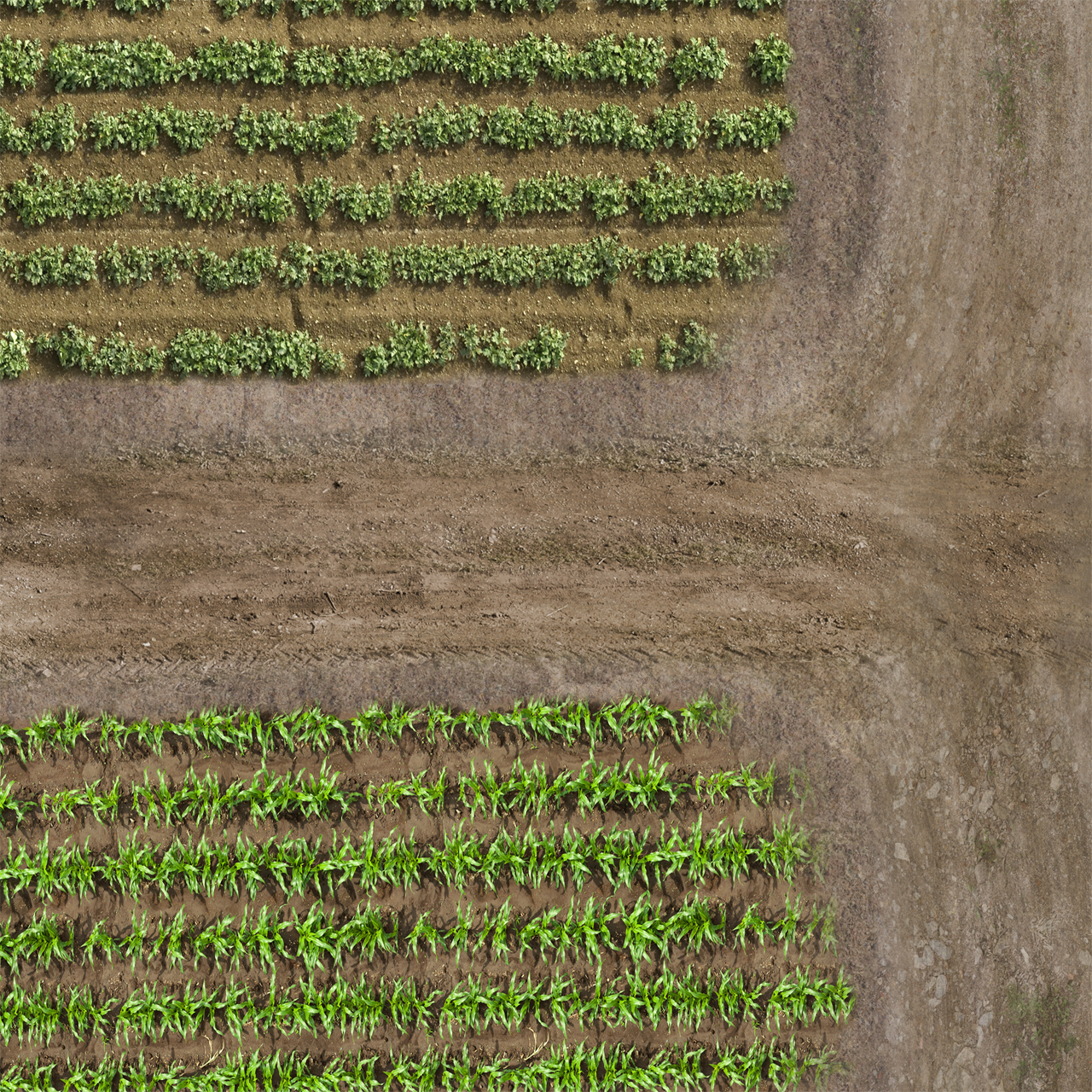 Farm Life 60" x 80" Plush Cloth Playmat product thumbnail image Farm Life 60" x 80" Plush Cloth Playmat product thumbnail image