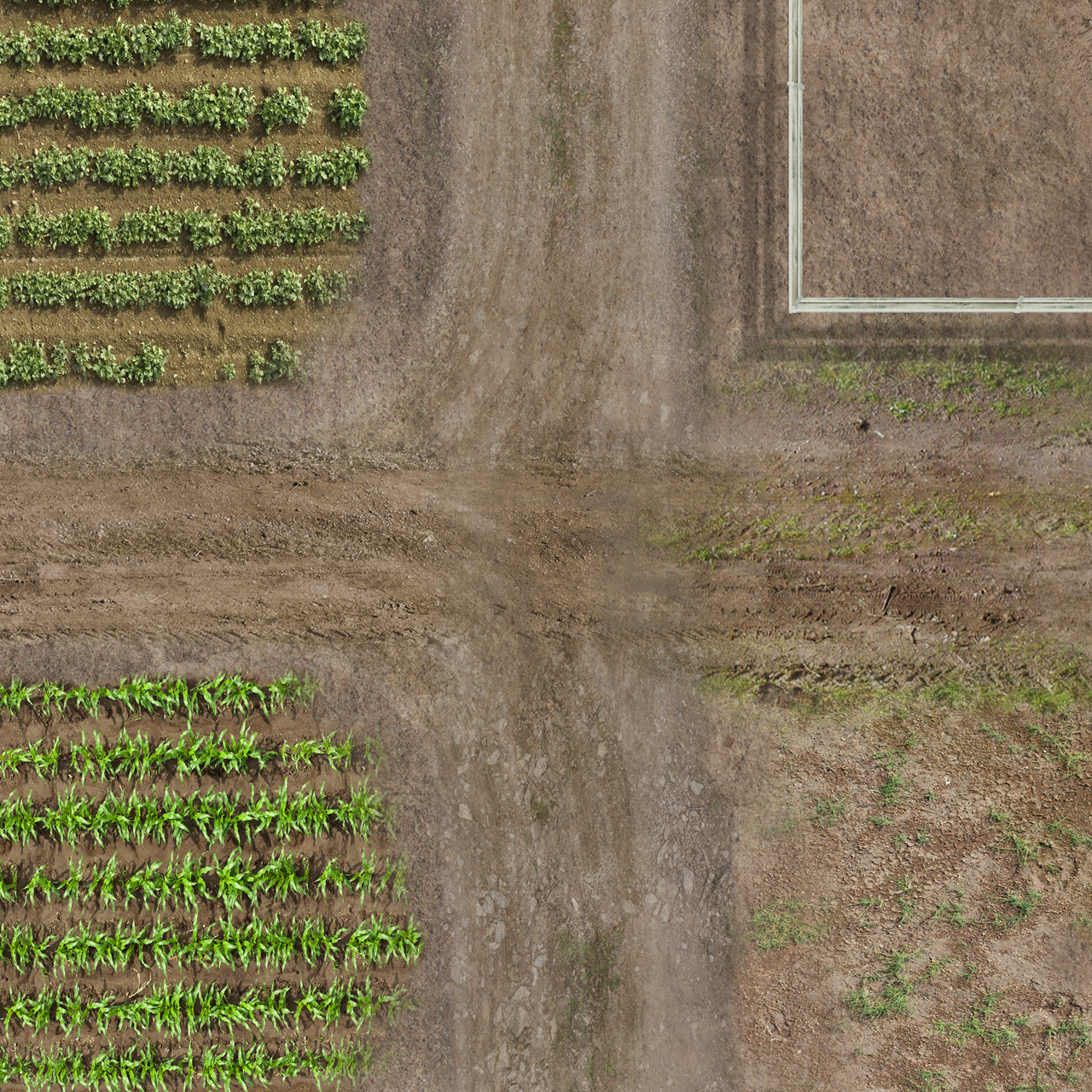 Farm Life 60" x 80" Plush Cloth Playmat product thumbnail image Farm Life 60" x 80" Plush Cloth Playmat product thumbnail image