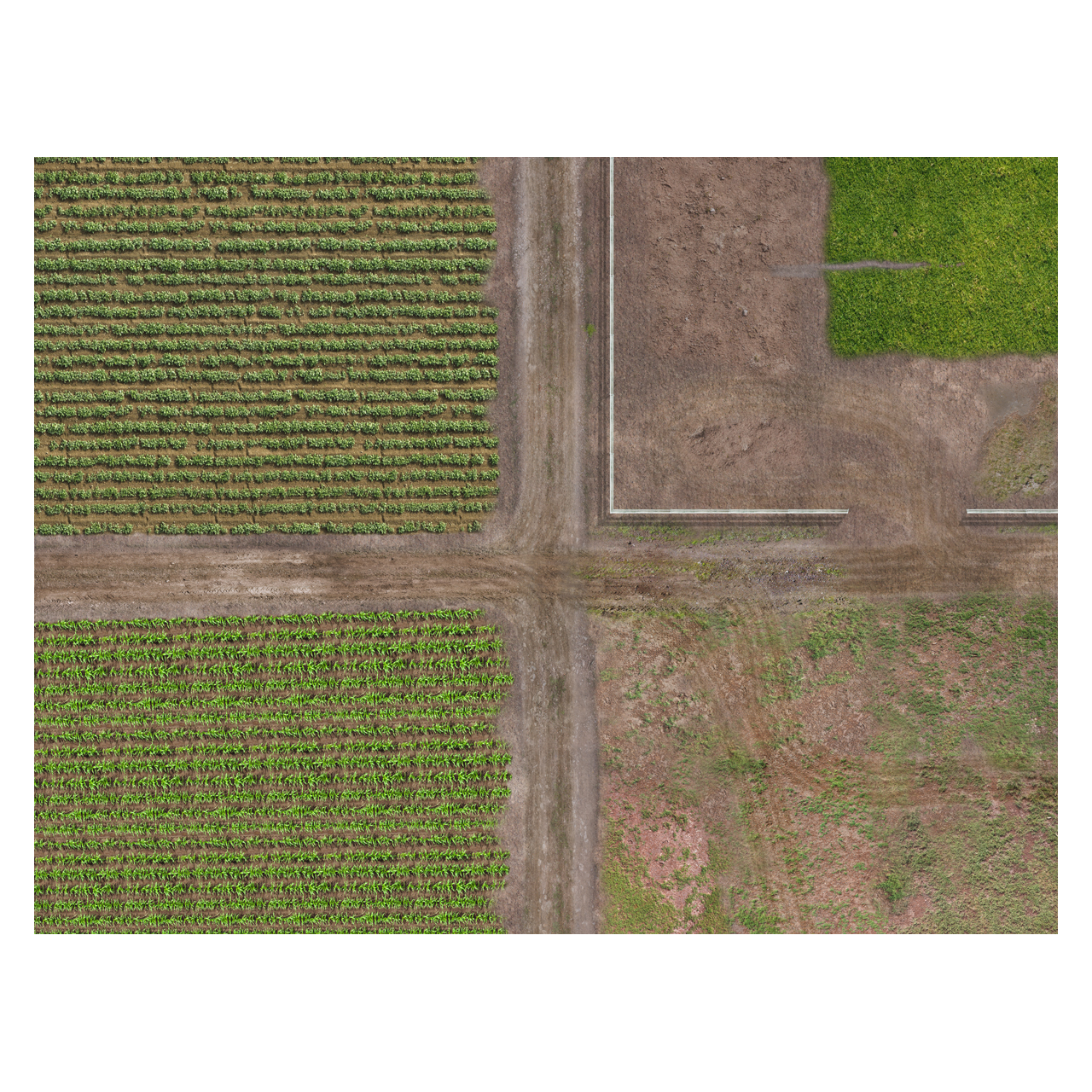 Farm Life 60" x 80" Plush Cloth Playmat Farm Life 60" x 80" Plush Cloth Playmat