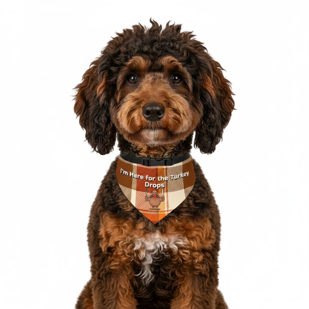 Thanksgiving Pet Bandana Collar  product thumbnail image