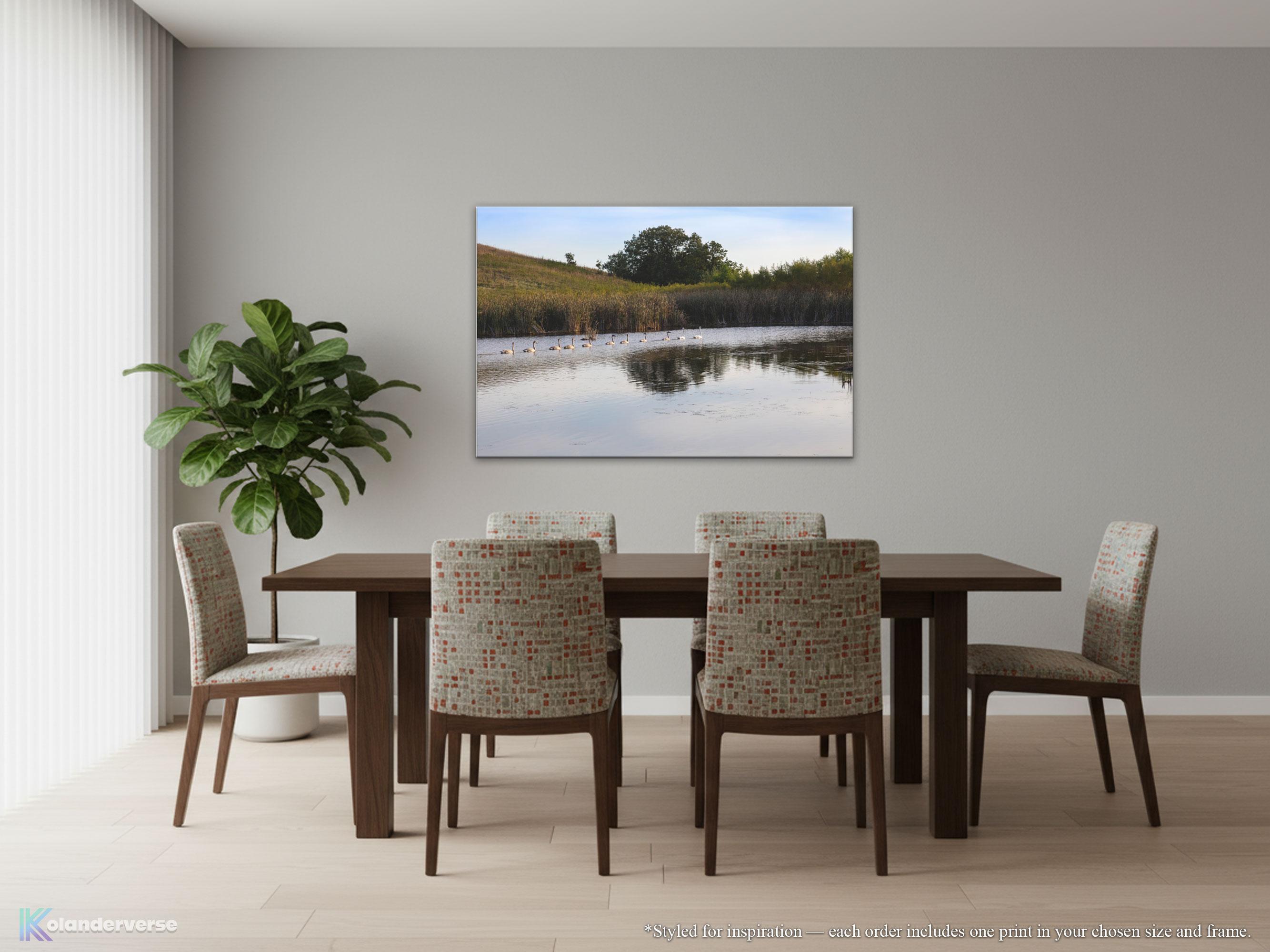 White Swan Family Swimming Canvas Print - Countryside Wetland Pond Lake Cygnets Wildlife Photography #78 product thumbnail image