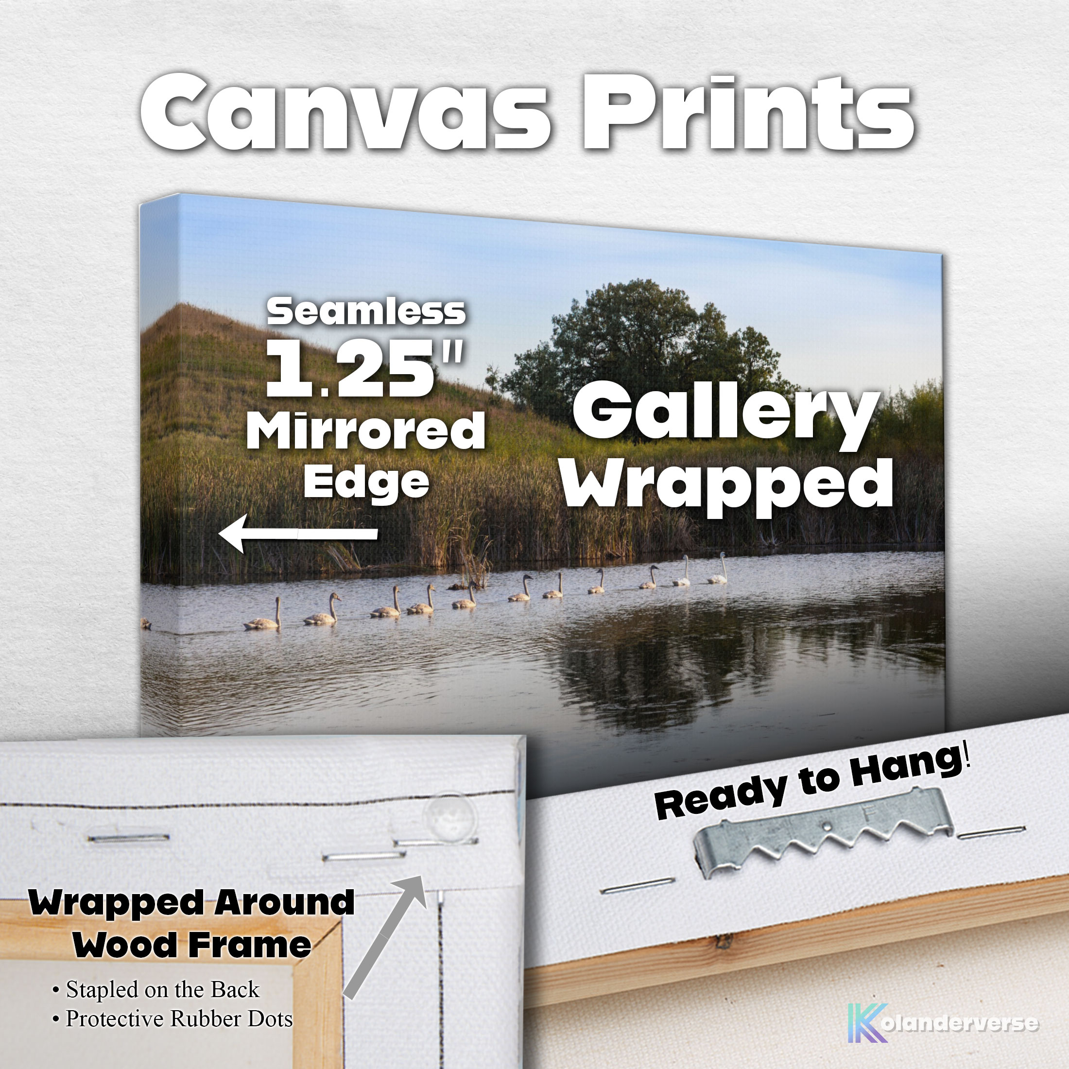 White Swan Family Swimming Canvas Print - Countryside Wetland Pond Lake Cygnets Wildlife Photography #78 product thumbnail image