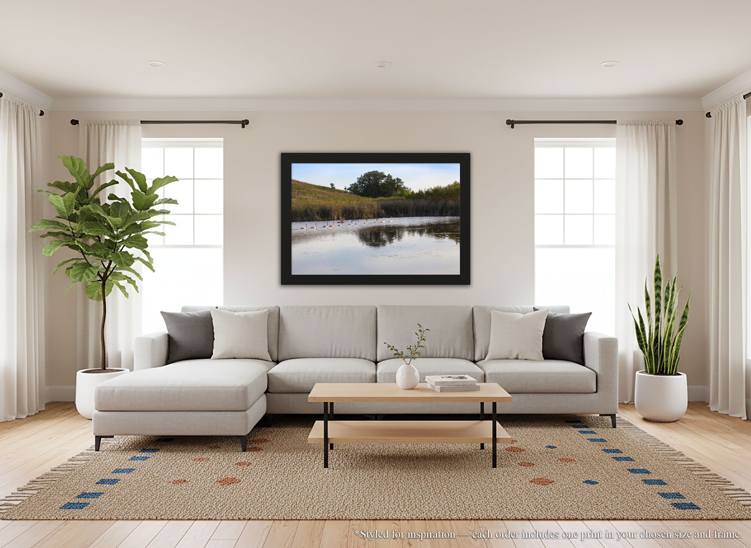 White Swan Family Swimming - Framed Art Print - Countryside Wetland Pond Lake Cygnets Wildlife Photography #78 product thumbnail image White Swan Family Swimming - Framed Art Print - Countryside Wetland Pond Lake Cygnets Wildlife Photography #78 product thumbnail image