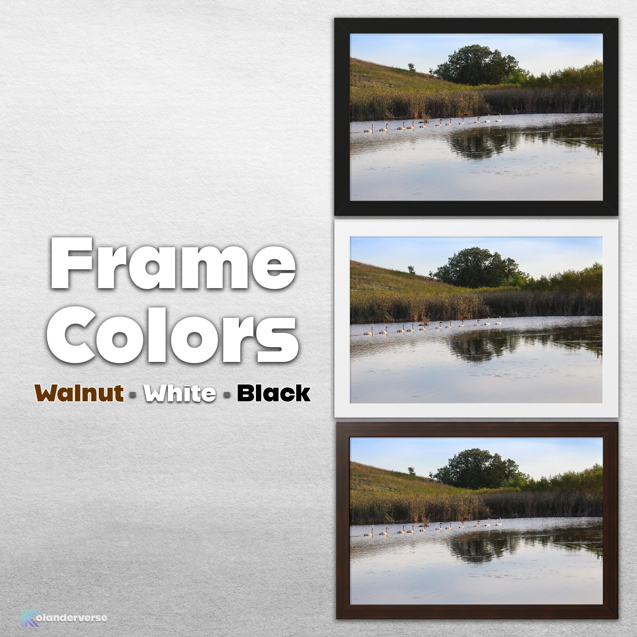 White Swan Family Swimming - Framed Art Print - Countryside Wetland Pond Lake Cygnets Wildlife Photography #78 product thumbnail image White Swan Family Swimming - Framed Art Print - Countryside Wetland Pond Lake Cygnets Wildlife Photography #78 product thumbnail image