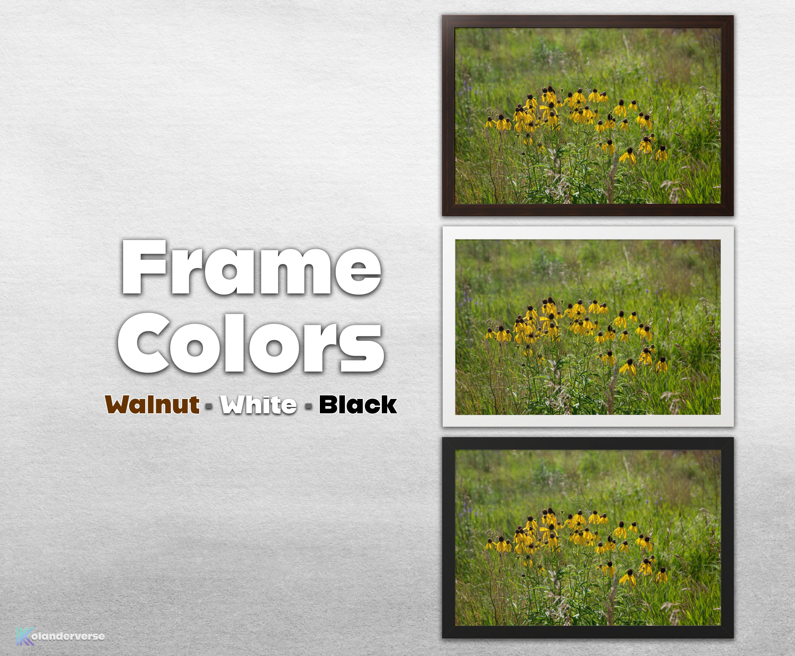 Black-Eyed Susan Floral - Framed Print – Rustic Flowers Midwest Prairie Wall Art - Yellow Wildflowers #29 product thumbnail image Black-Eyed Susan Floral - Framed Print – Rustic Flowers Midwest Prairie Wall Art - Yellow Wildflowers #29 product thumbnail image