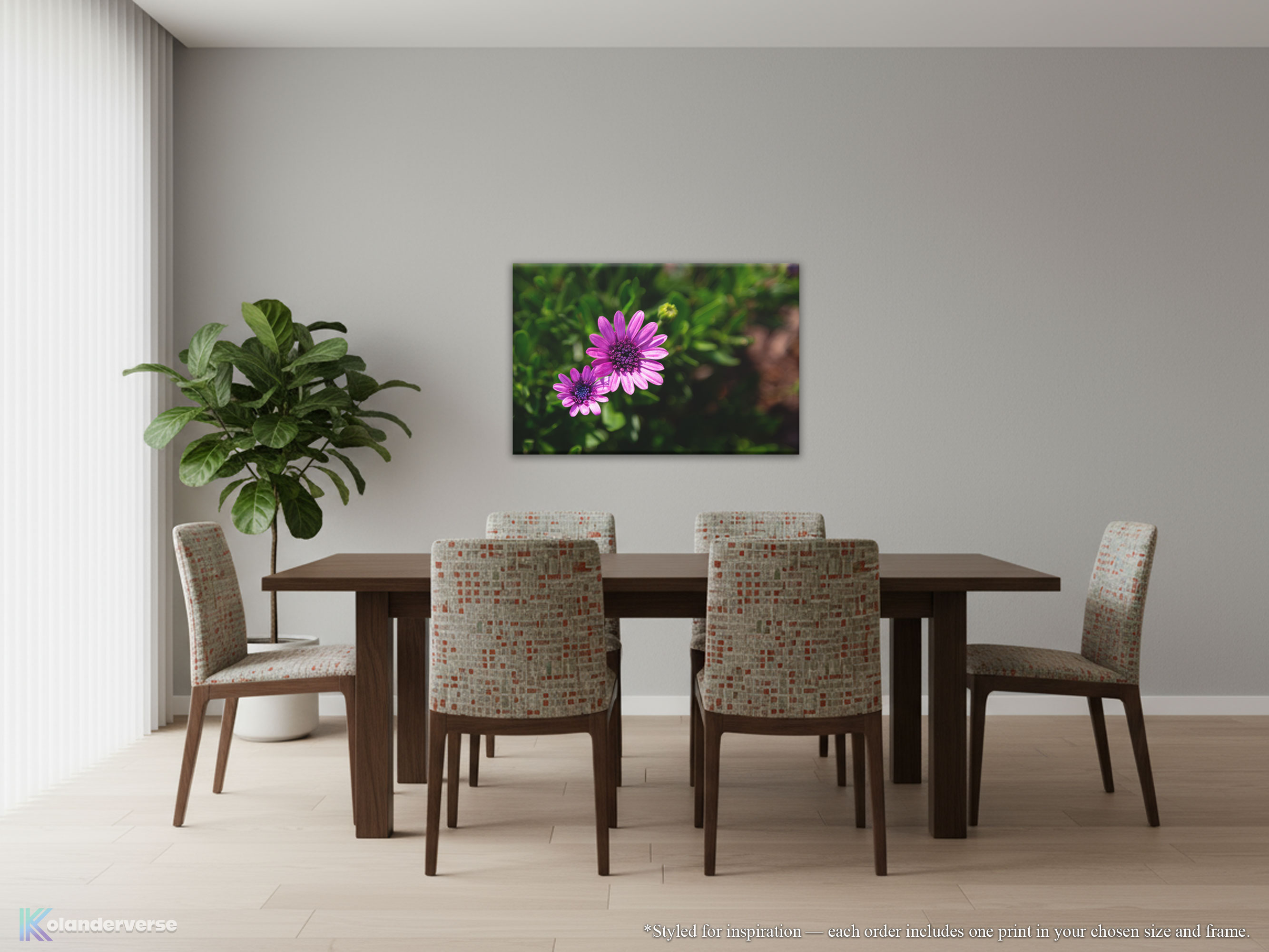 Purple African Daisy Flower - Canvas Print - Botanical Floral Nature Photography Wall Art #47 product thumbnail image Purple African Daisy Flower - Canvas Print - Botanical Floral Nature Photography Wall Art #47 product thumbnail image