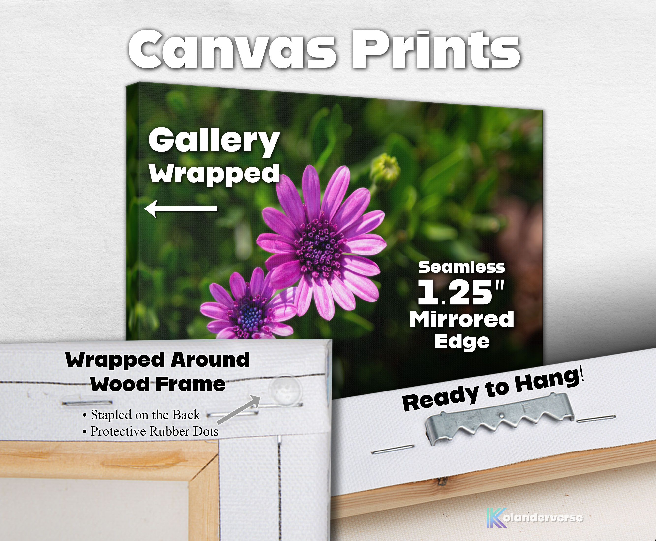 Purple African Daisy Flower - Canvas Print - Botanical Floral Nature Photography Wall Art #47 product thumbnail image