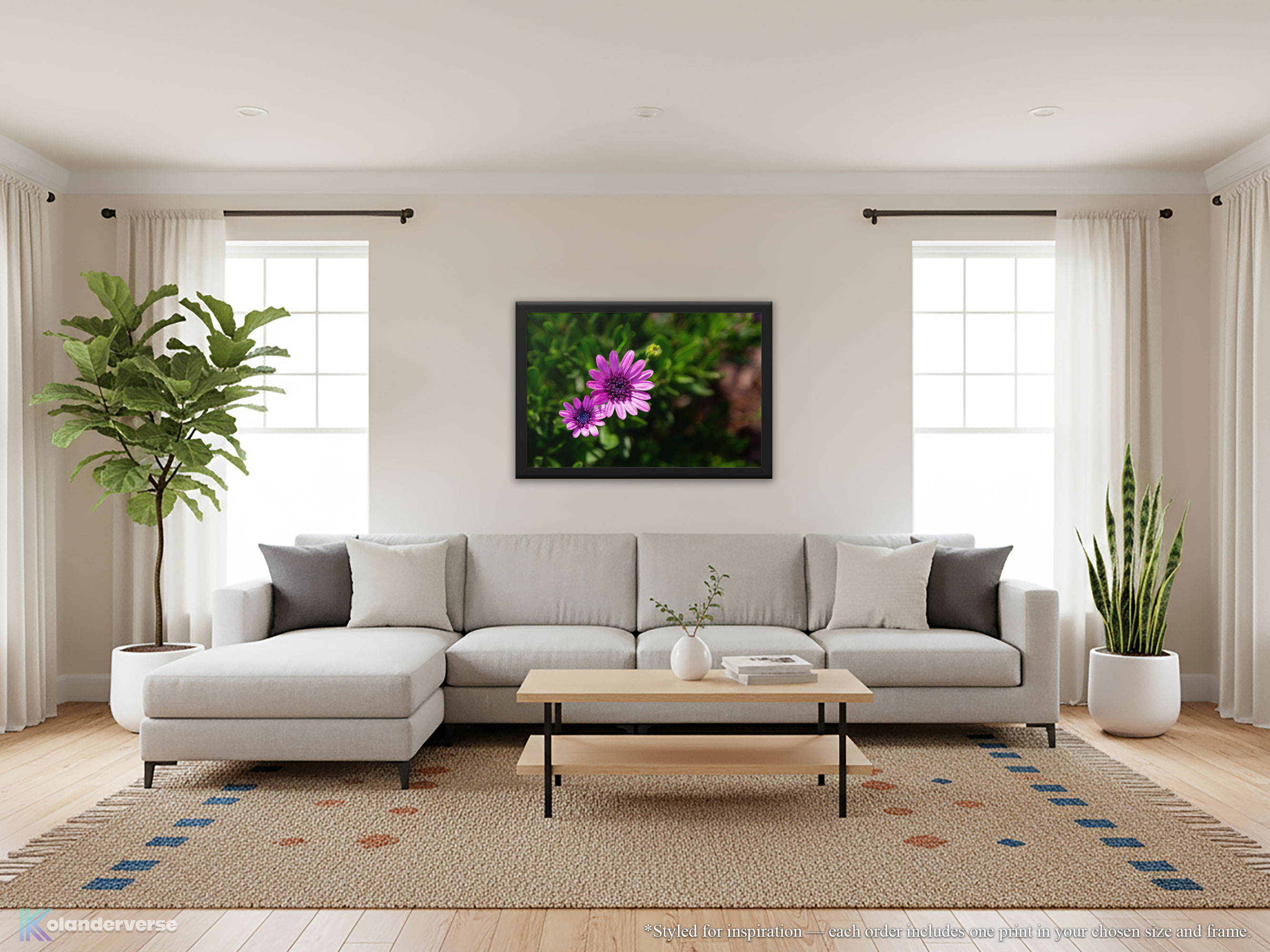 Purple African Daisy Flower - Framed Print - Botanical Floral Nature Photography Wall Art #47 product thumbnail image Purple African Daisy Flower - Framed Print - Botanical Floral Nature Photography Wall Art #47 product thumbnail image