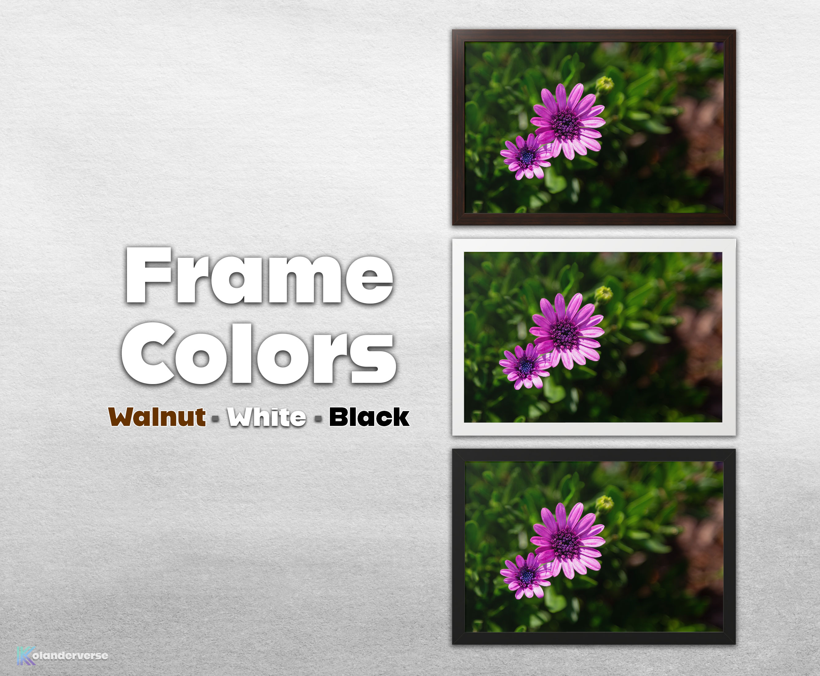 Purple African Daisy Flower - Framed Print - Botanical Floral Nature Photography Wall Art #47 product thumbnail image Purple African Daisy Flower - Framed Print - Botanical Floral Nature Photography Wall Art #47 product thumbnail image