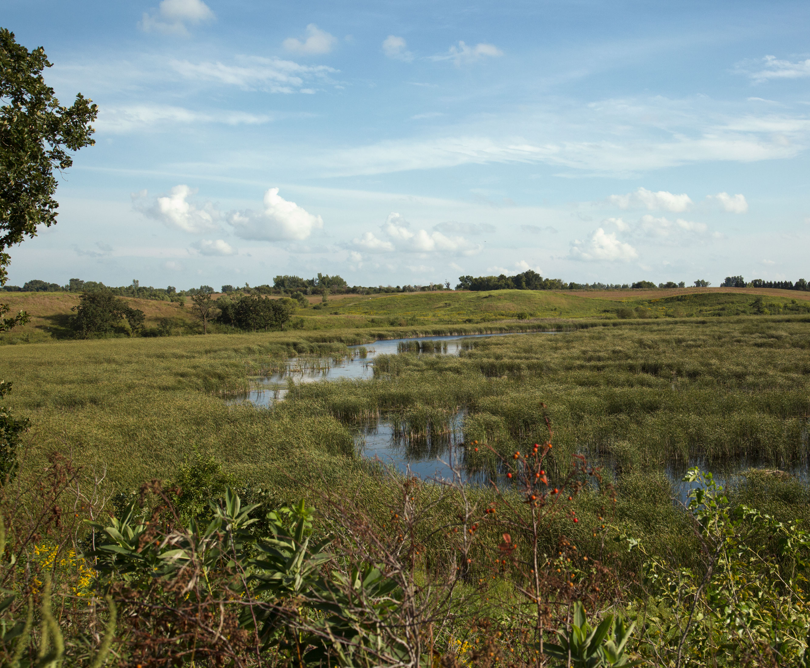 Wetlands Prairie - Canvas Print - Landscape Photography, Rural Marsh Grassland Wall Art #54 Wetlands Prairie - Canvas Print - Landscape Photography, Rural Marsh Grassland Wall Art #54