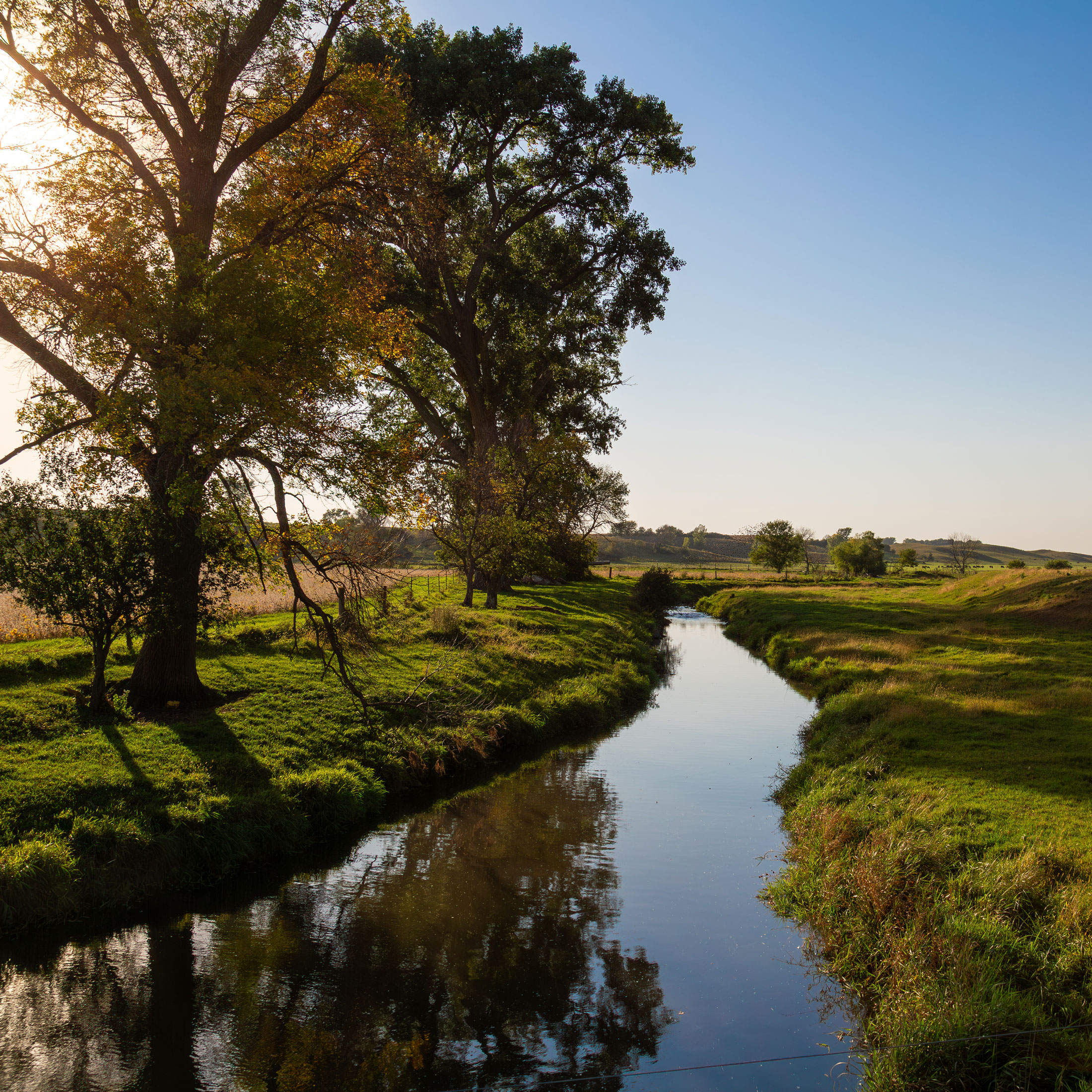 Golden Hour Creek Landscape - Canvas Print - Minnesota Countryside Photography, Peaceful Pasture Farmhouse Decor for Living Room or Office #3