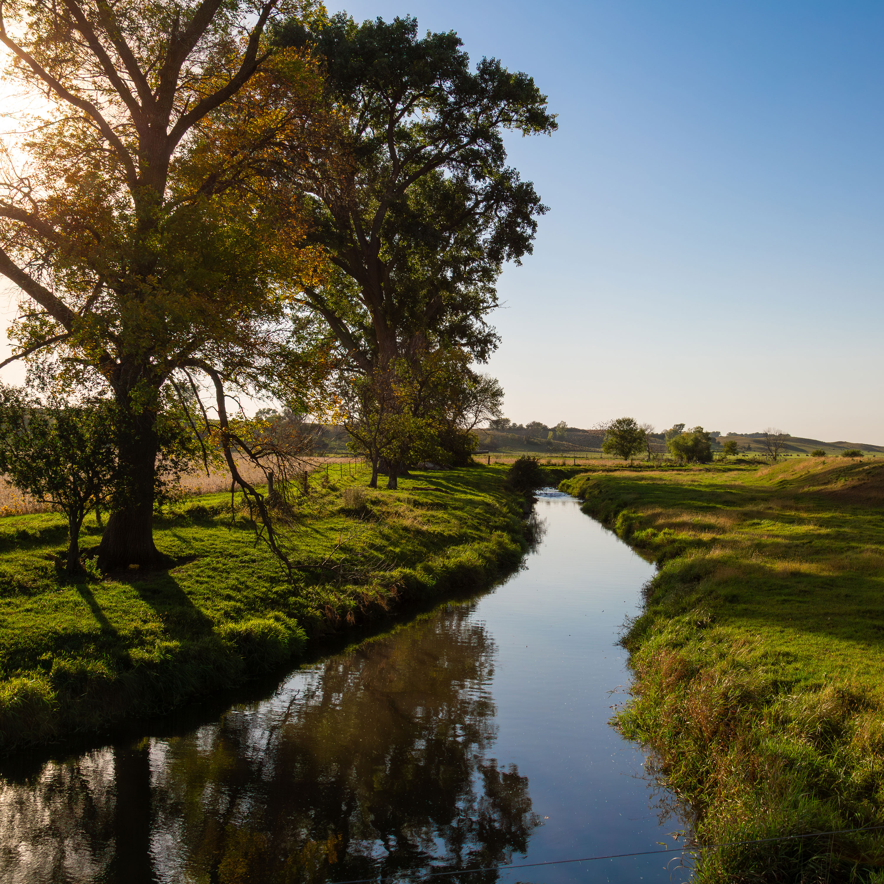 Golden Hour Creek Landscape - Framed Print - Minnesota Countryside Photography, Peaceful Pasture Farmhouse Decor for Living Room or Office #3 product thumbnail image Golden Hour Creek Landscape - Framed Print - Minnesota Countryside Photography, Peaceful Pasture Farmhouse Decor for Living Room or Office #3 product thumbnail image
