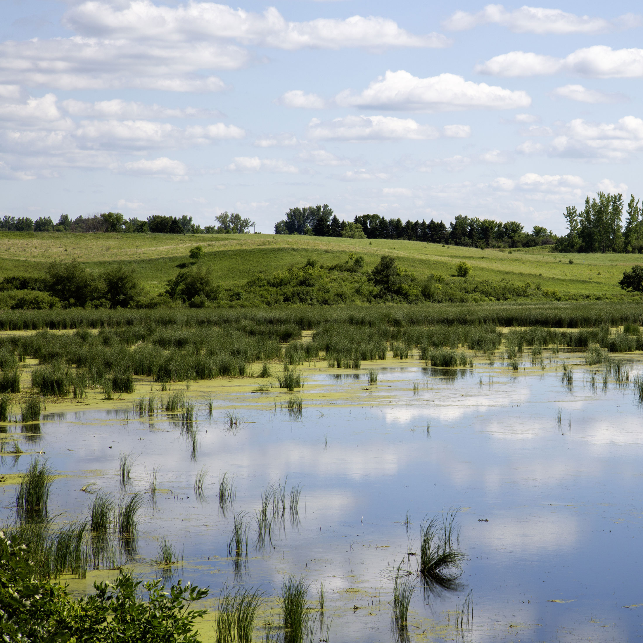 Minnesota Wetlands - Canvas Print - Marsh Lake Water Reflection Landscape, Rustic Wall Photography, Countryside Prairie #7 product thumbnail image Minnesota Wetlands - Canvas Print - Marsh Lake Water Reflection Landscape, Rustic Wall Photography, Countryside Prairie #7 product thumbnail image