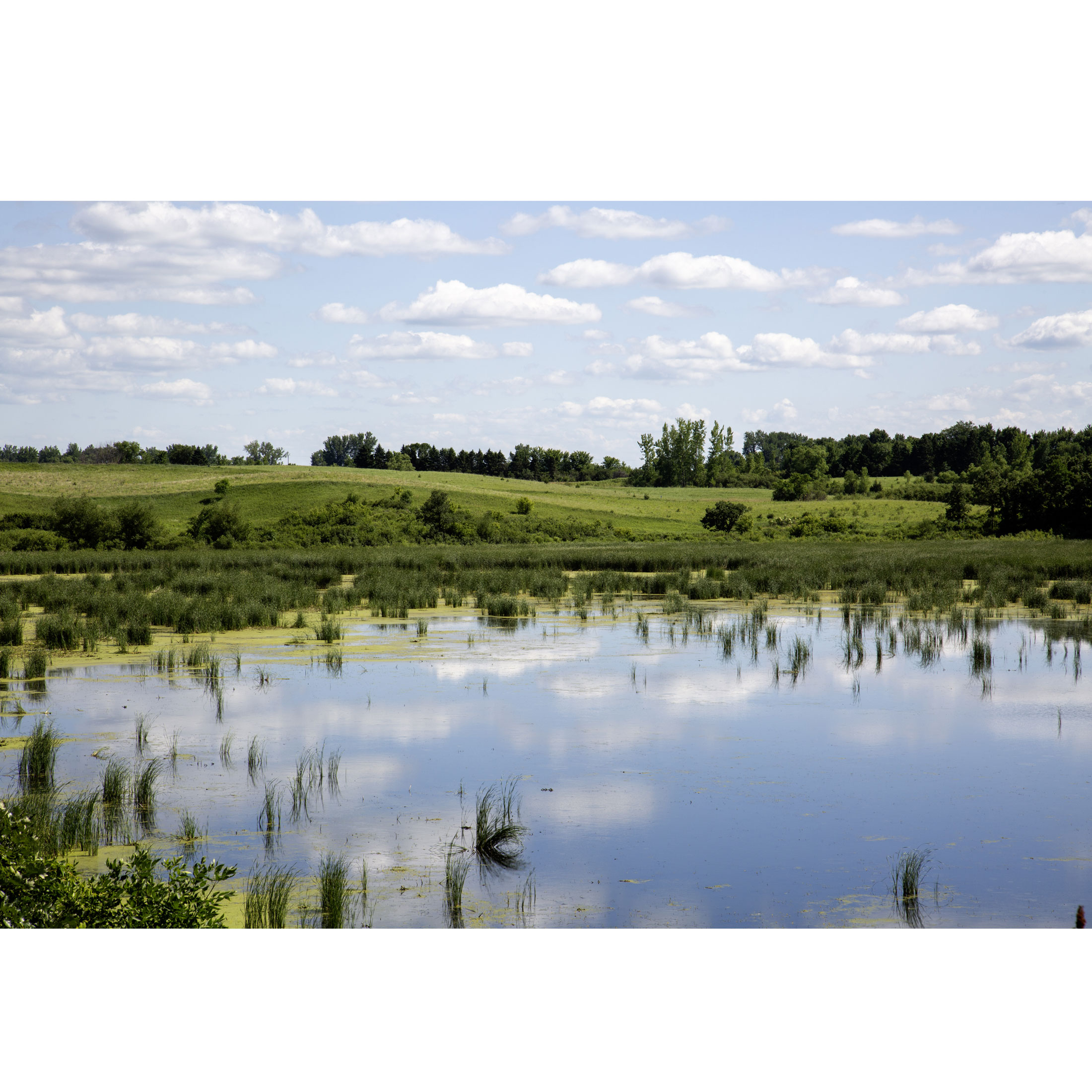 Minnesota Wetlands - Giclée Poster Print - Marsh Lake Water  Reflection Landscape, Rustic Wall Photography, Countryside Prairie #7 product thumbnail image