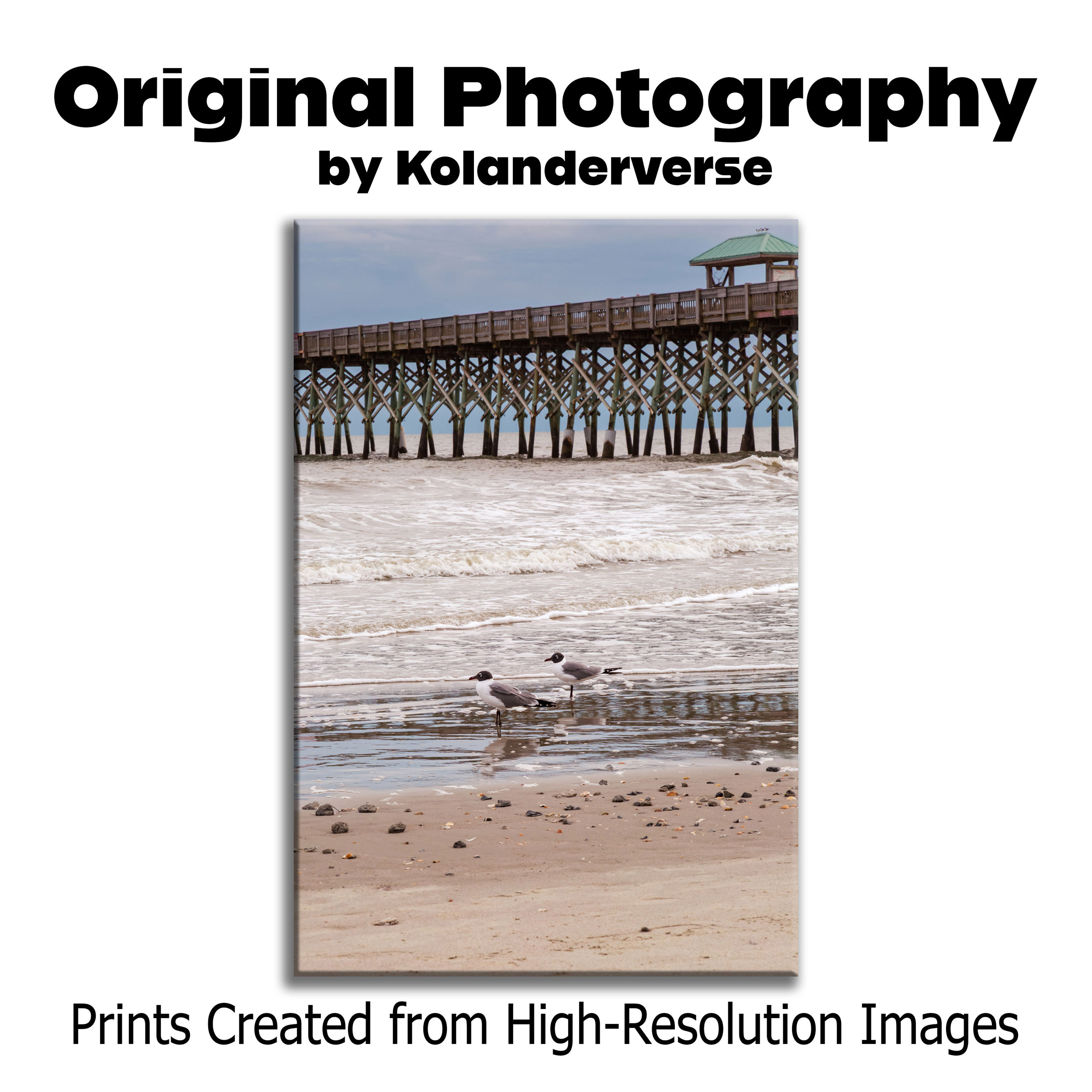 Seagulls on Shore Next to Folly Beach Ocean Pier - Framed Print - South Carolina Coastal Birds Photography Art, Home Décor #8 product thumbnail image Seagulls on Shore Next to Folly Beach Ocean Pier - Framed Print - South Carolina Coastal Birds Photography Art, Home Décor #8 product thumbnail image